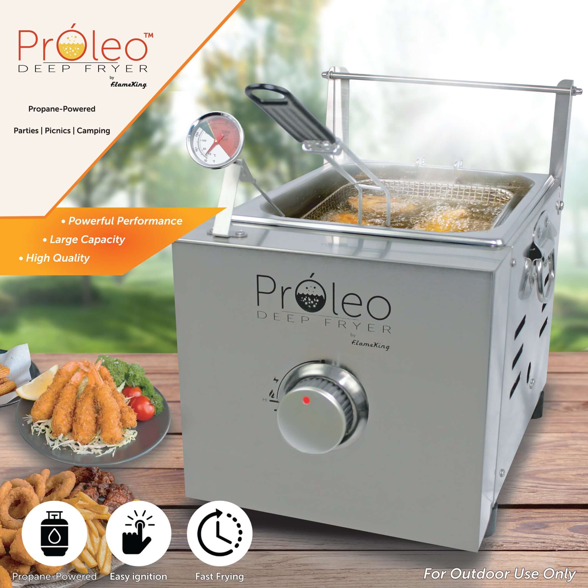 Flame King Proleo Portable Propane Deep Fryer - We The Collective