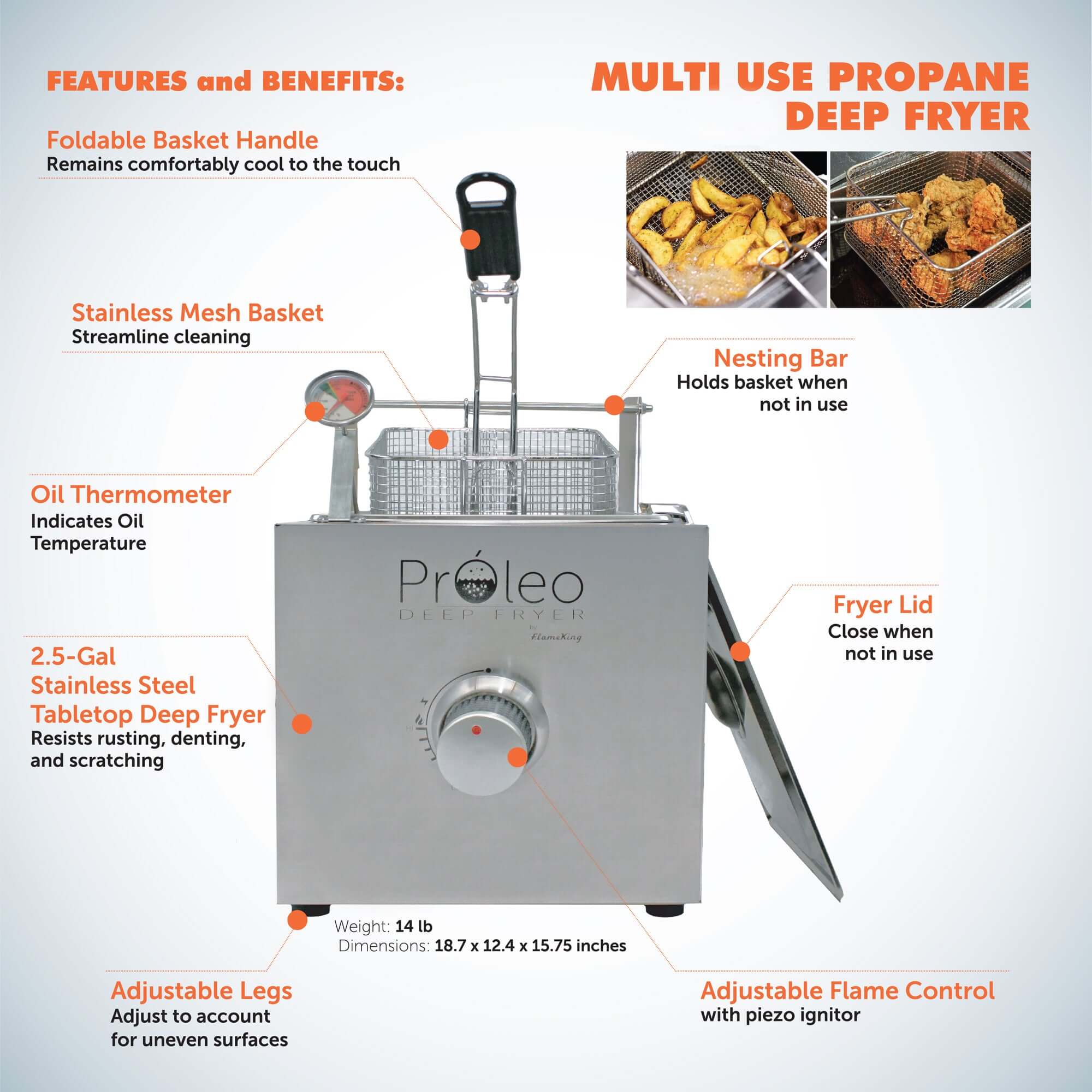 Flame King Proleo Portable Propane Deep Fryer - We The Collective