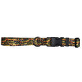 Peacock Bass dog collar with vibrant blue and green fin flank design from Cognito Brands, Inc.