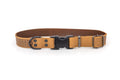 Celtic Sport Khaki Leather Dog Collar - OVERLANDERS Outfitter