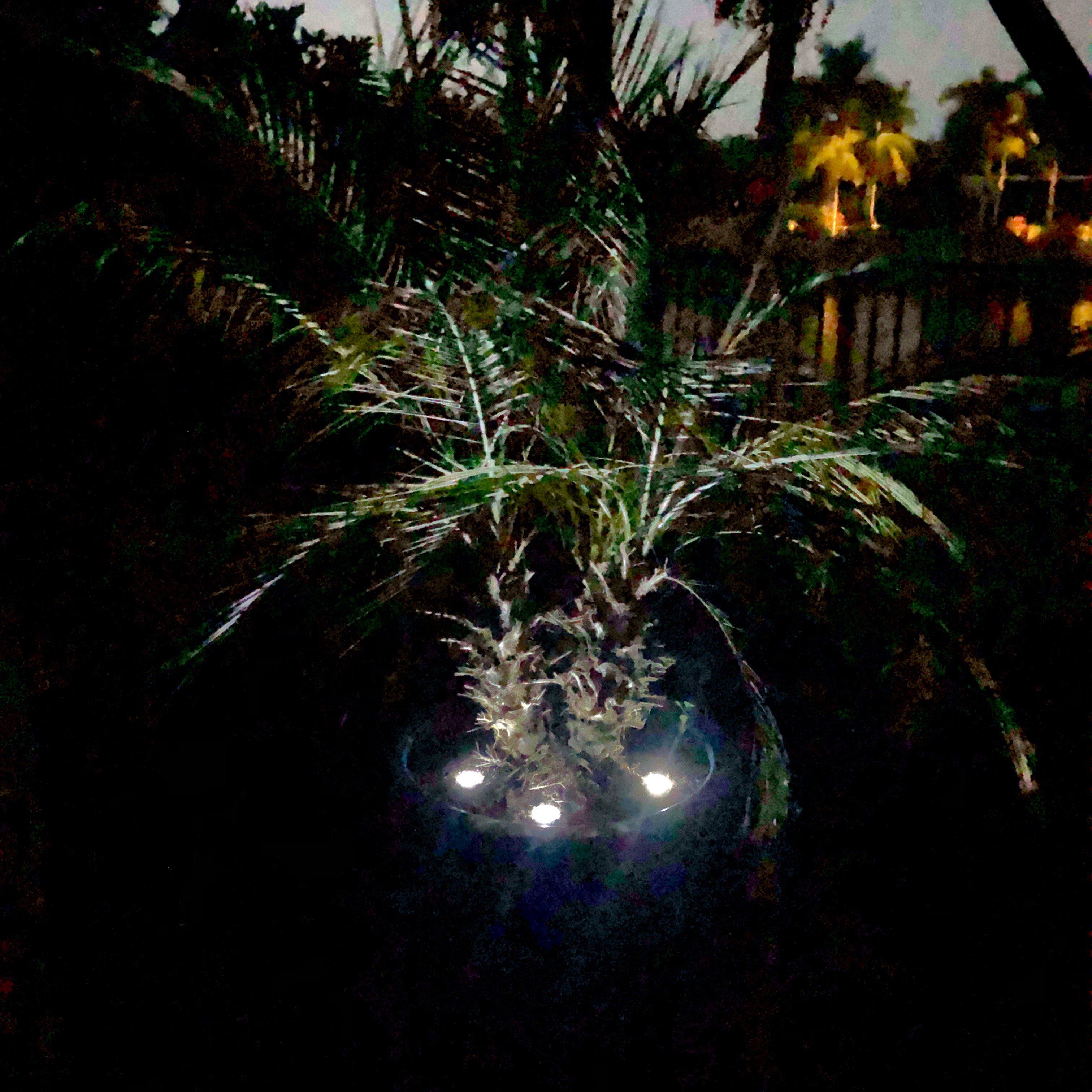 LED Dock & Deck Pods - Solar Powered Light Dots - We The Collective