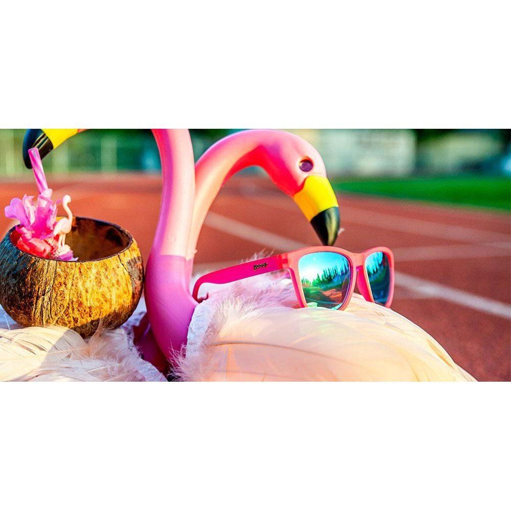 Rare Air Discs Flamingos On A Booze Cruise OG Premium sunglasses resting on a surface, showcasing vibrant tropical-themed design.