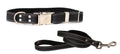 Leather collar and leash set with quick-release buckle from Euro-Dog Collars and Leads, featuring durable hardware and adjustable fit.