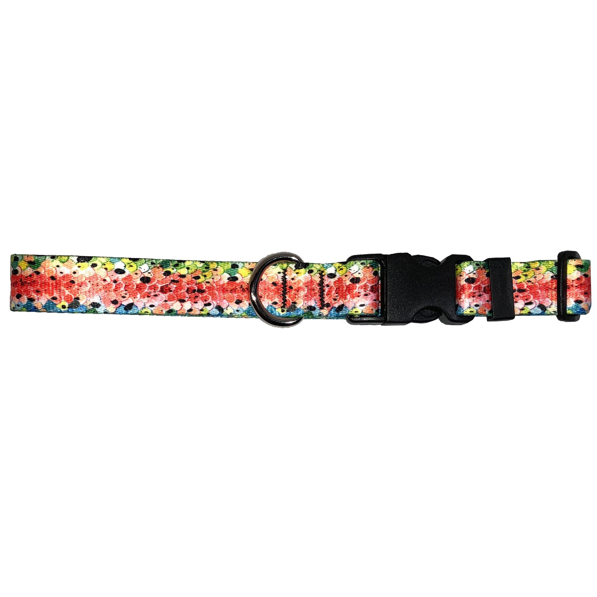 Rainbow#3 Trout dog collar by Cognito Brands, Inc., featuring colorful rainbow trout design on durable Fin Flank accessories.