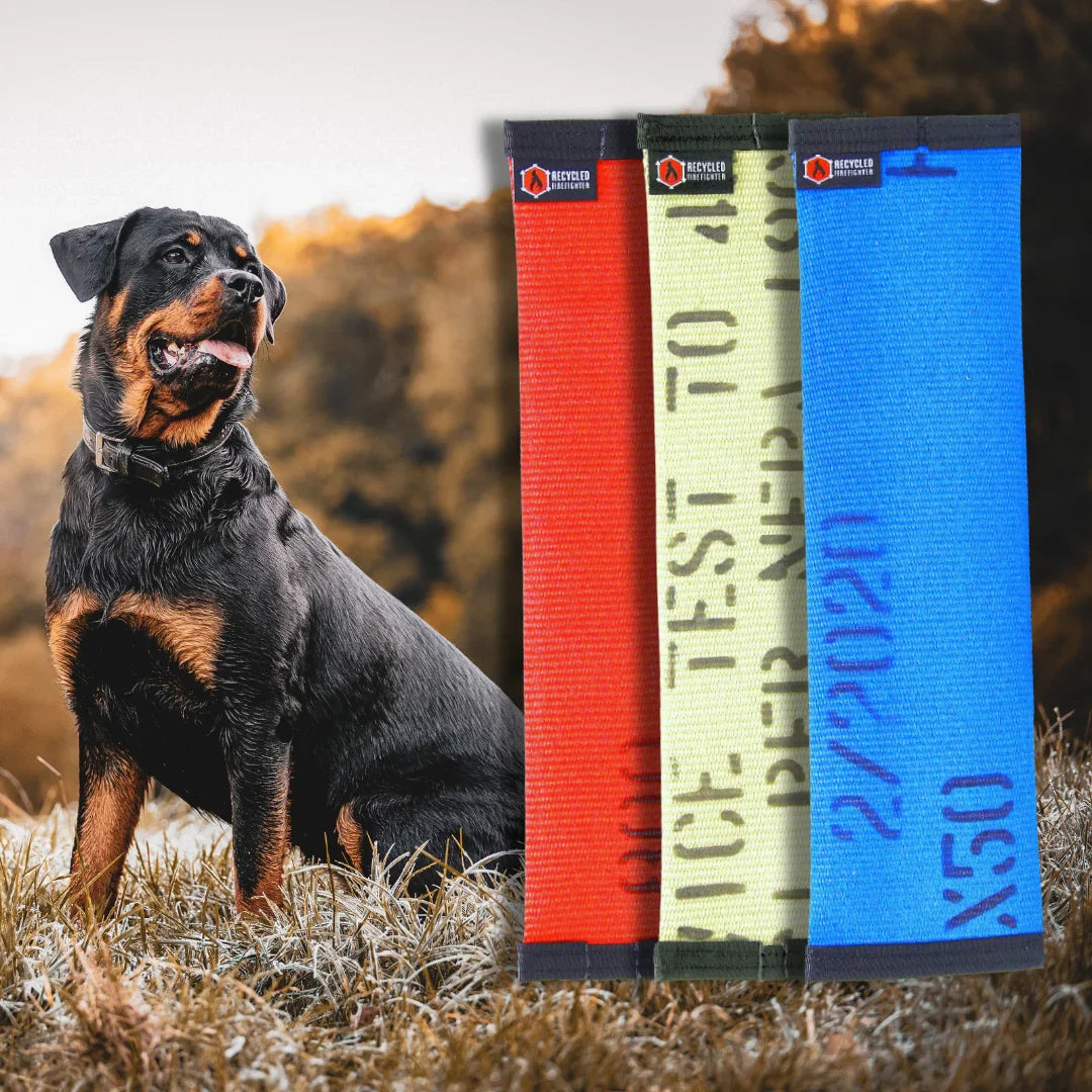 Recycled Firefighter recycled fire hose dog fetch toy, durable and colorful, designed for active dogs to play and fetch.