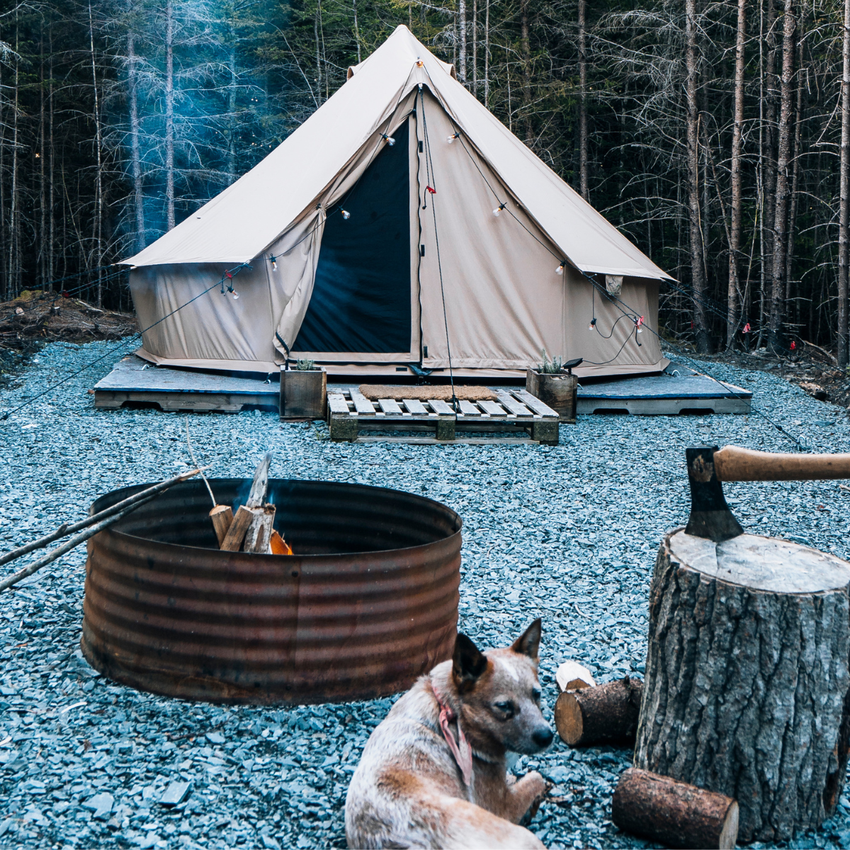 Sandstone beige Regatta Bell Tent by White Duck Outdoors with a campfire and dog outside, showcasing outdoor camping setup.