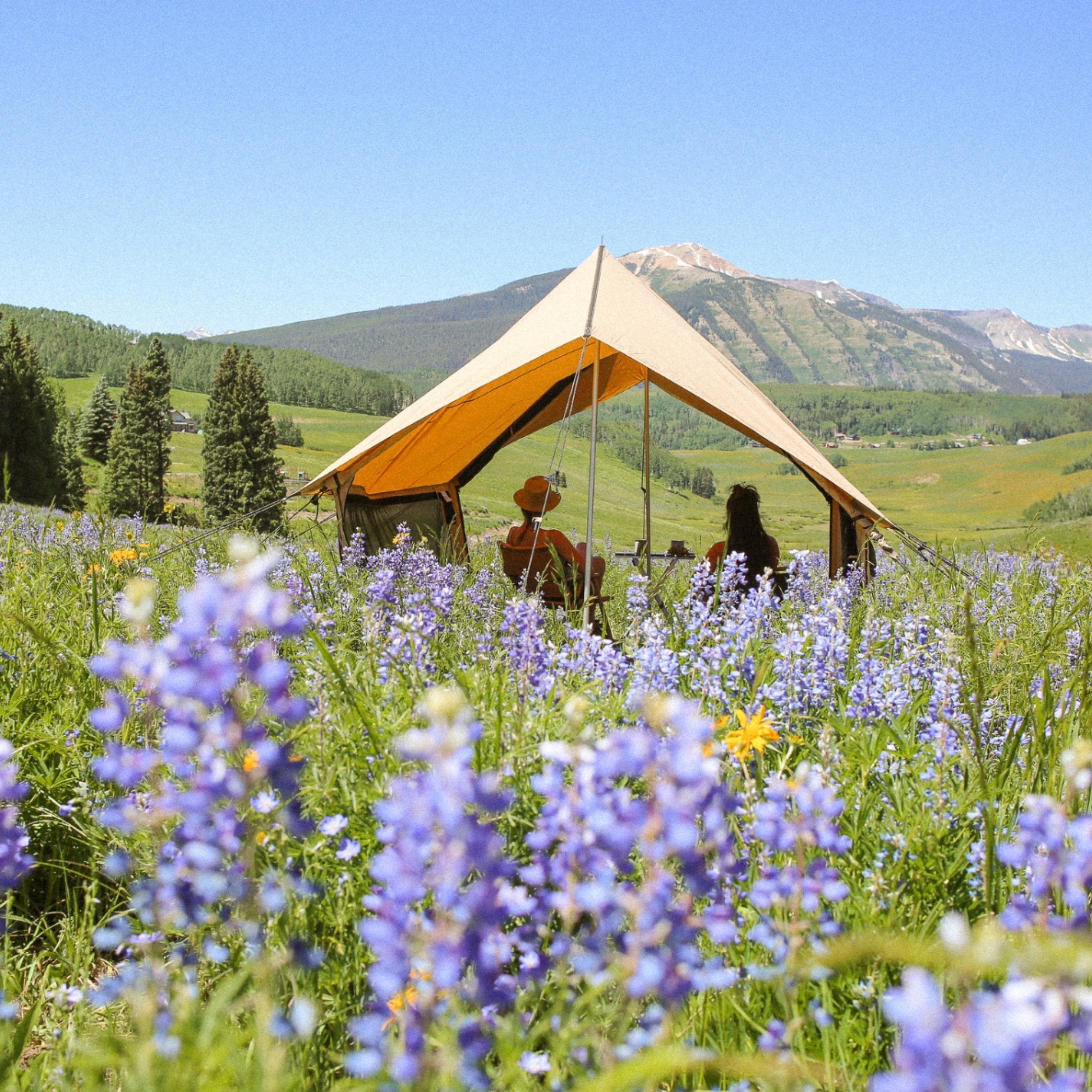 Beige Rover Scout Tent by White Duck Outdoors set up outdoors with a couple among flowers, showcasing its spacious interior.