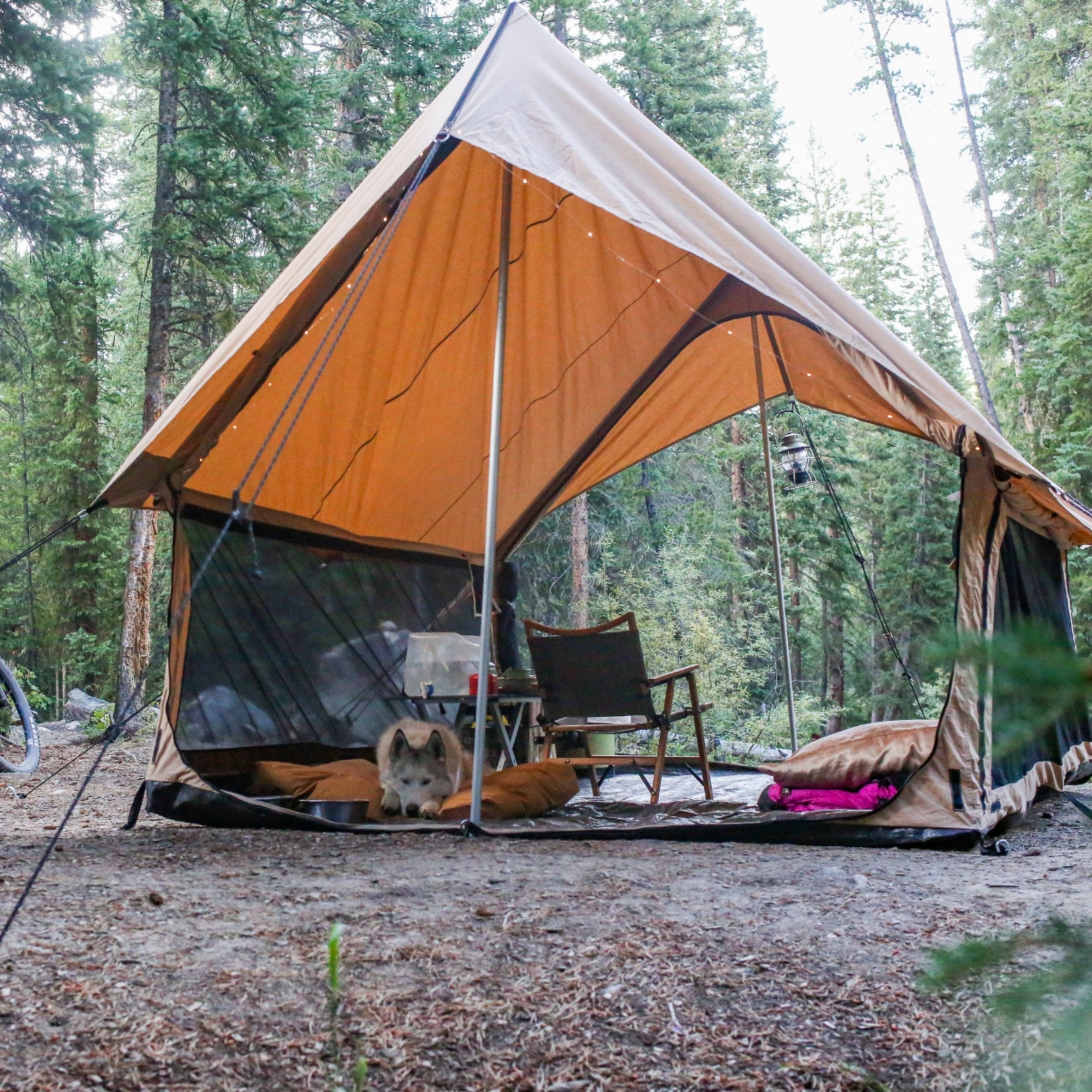 White Duck Outdoors Rover Scout Tent in forest, mesh door open, with dog inside, chair, and table nearby.