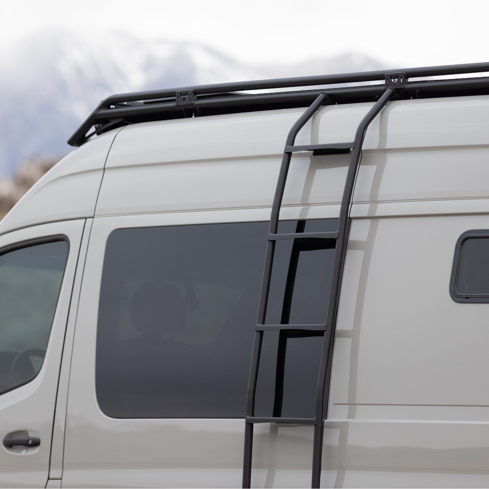 Vanspeed Sprinter side ladder attached to van exterior, made by The Van Mart, with metal rungs and side mounting brackets.
