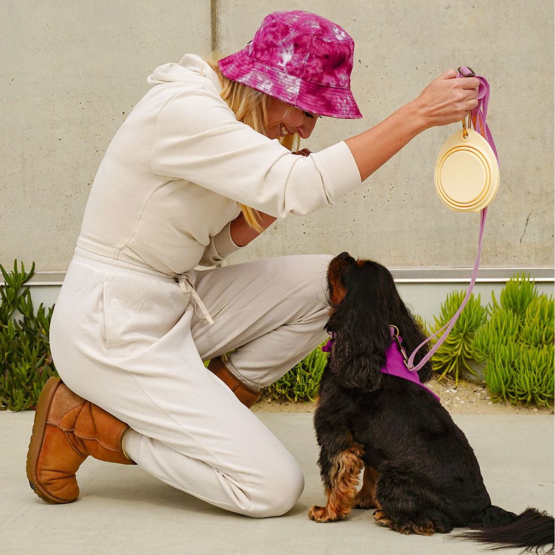 Tilley + Me Collapsible Double Pet Bowl – Lightweight & Portable for Travel - OVERLANDERS Outfitter