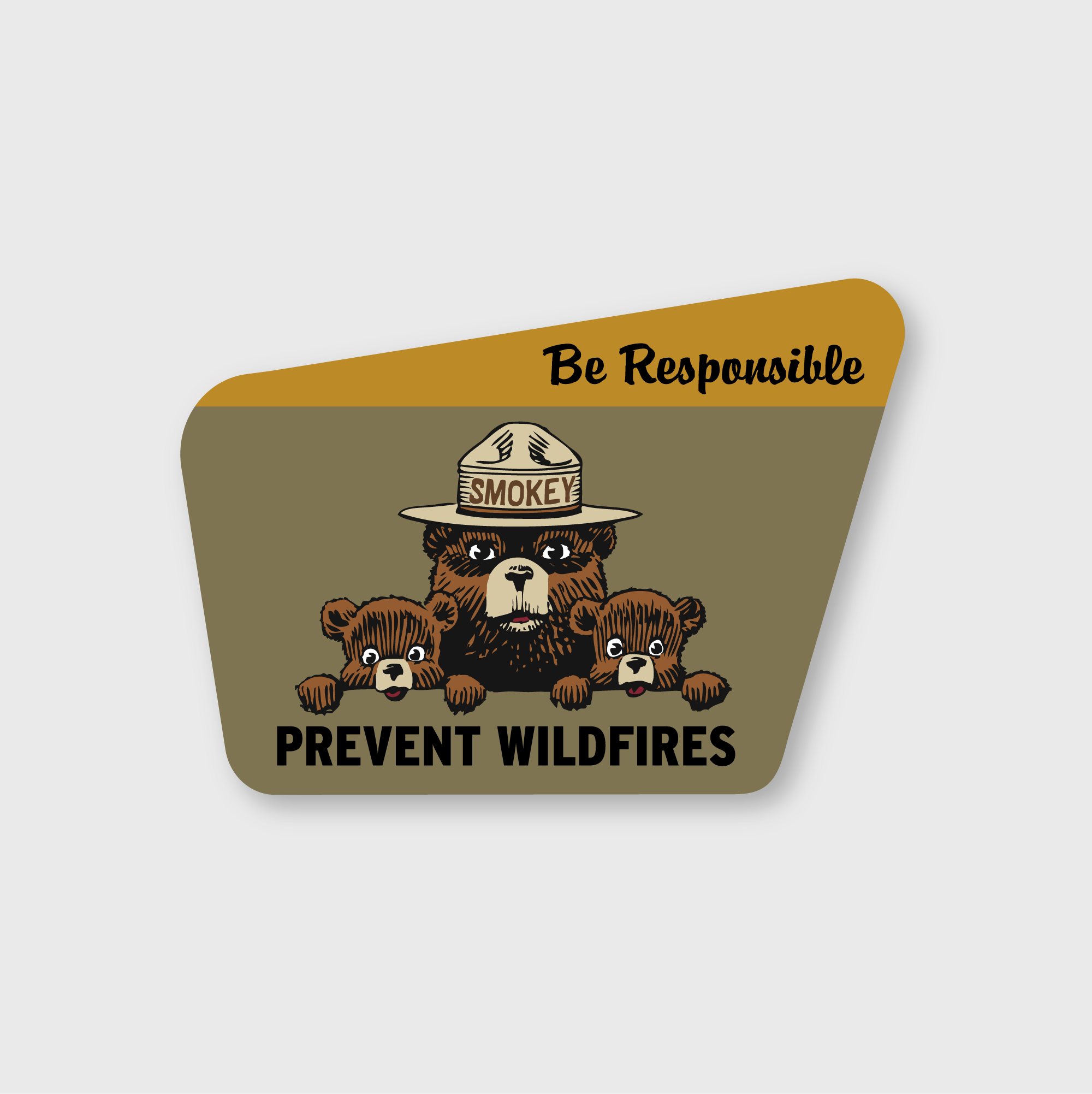Smokey Bear "Be Responsible" sticker by Pike Street Press featuring Smokey Bear illustration and responsible fire safety message.