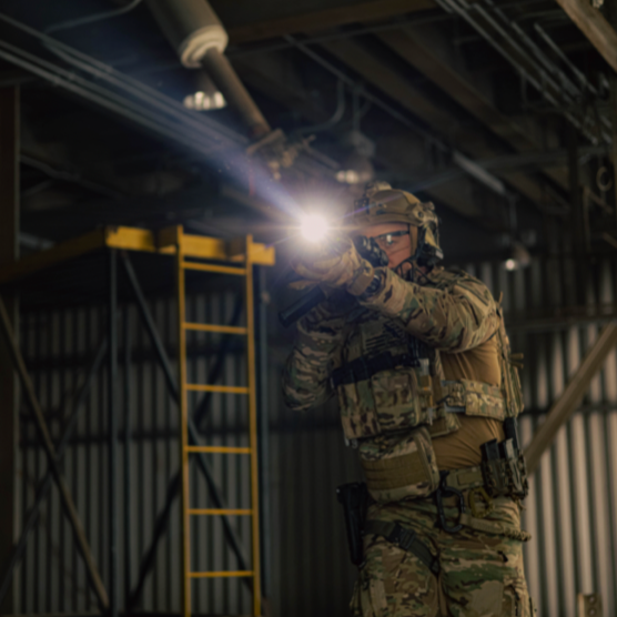 AWLS Advanced Weapon Light - OVERLANDERS Outfitter