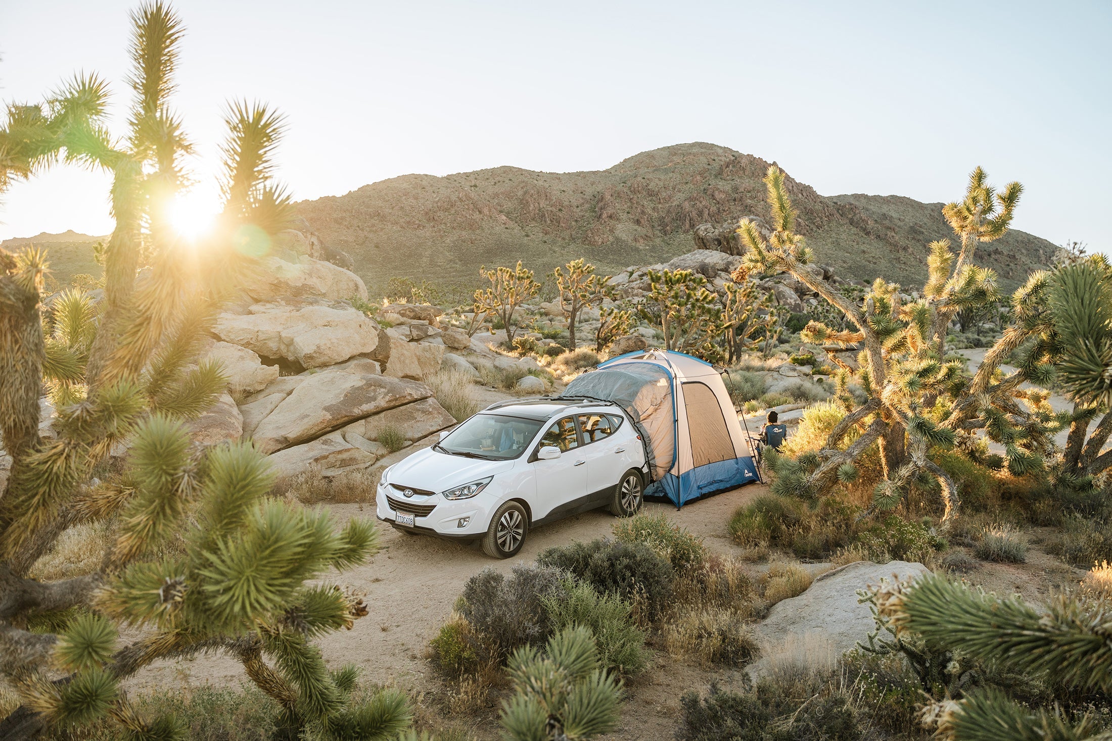 Backcountry Sportsman Sportz SUV Tent set up on a vehicle, showing its spacious design and durable fabric for outdoor camping adventures.
