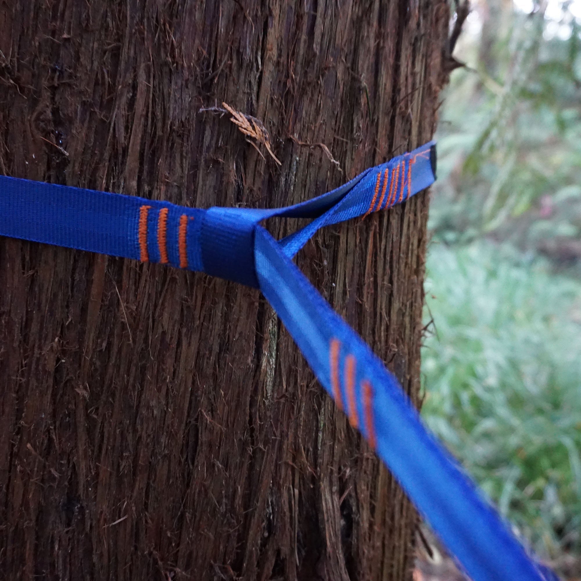 Trunk Straps - Hammock Suspension Straps - We The Collective