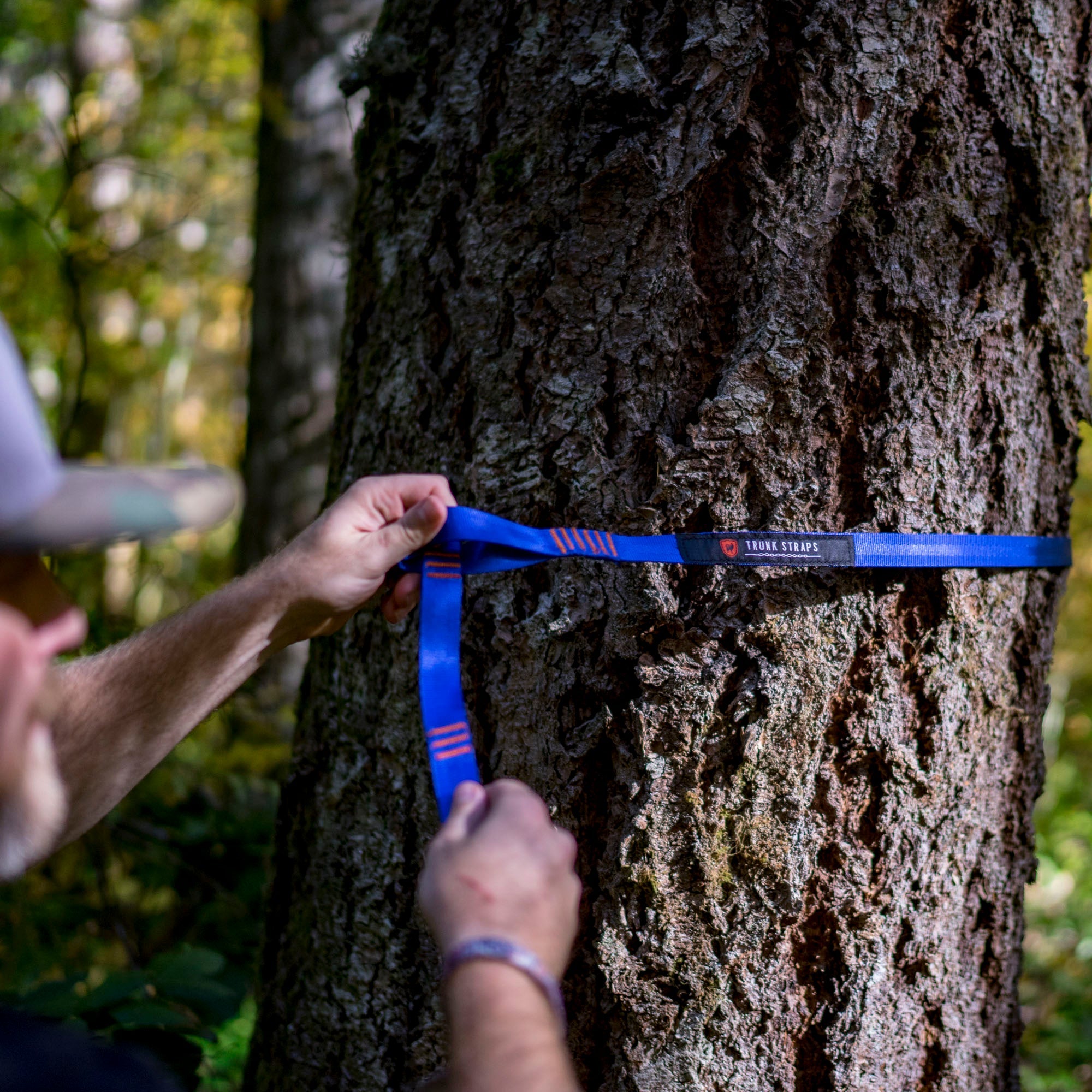 Trunk Straps - Hammock Suspension Straps - We The Collective