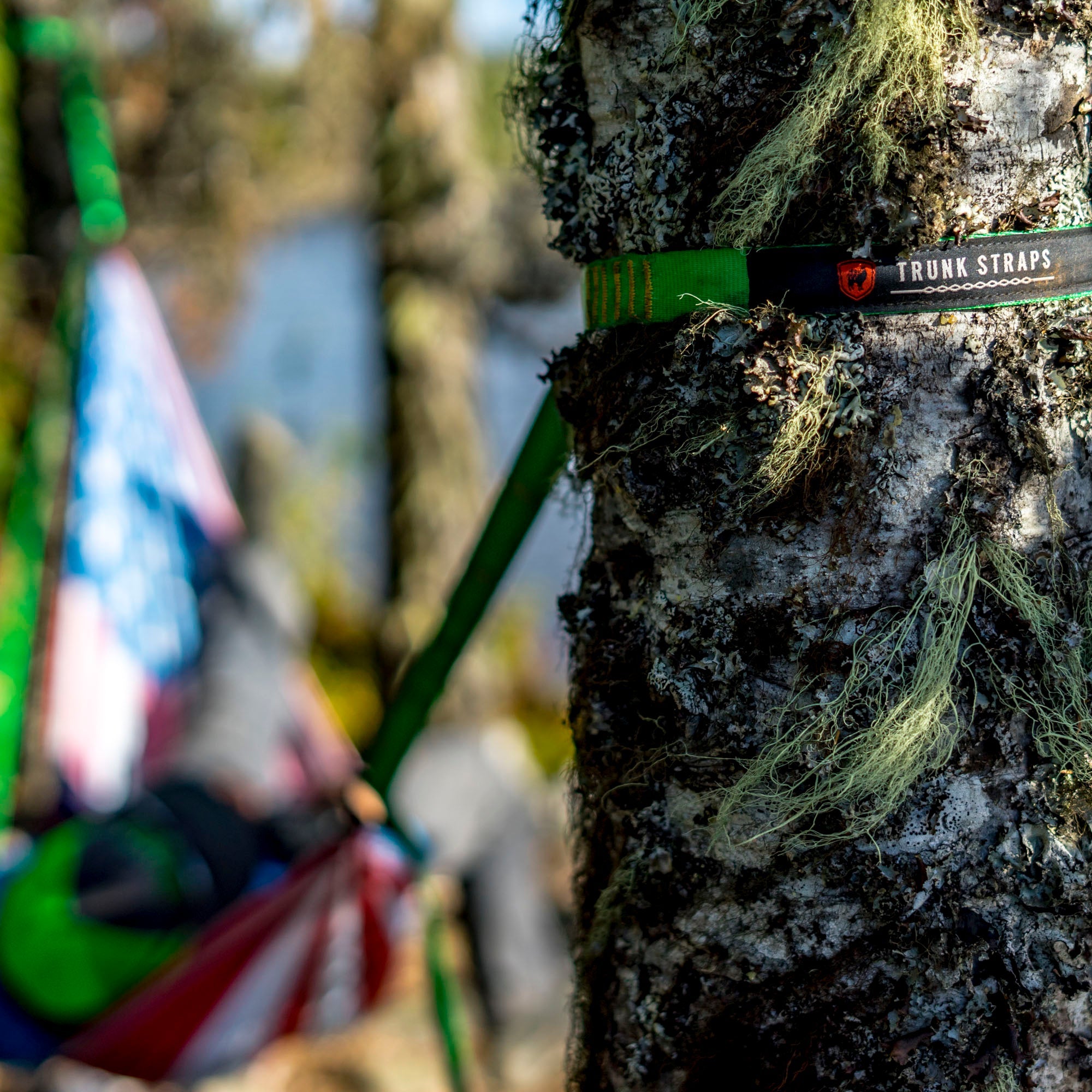 Trunk Straps - Hammock Suspension Straps - We The Collective
