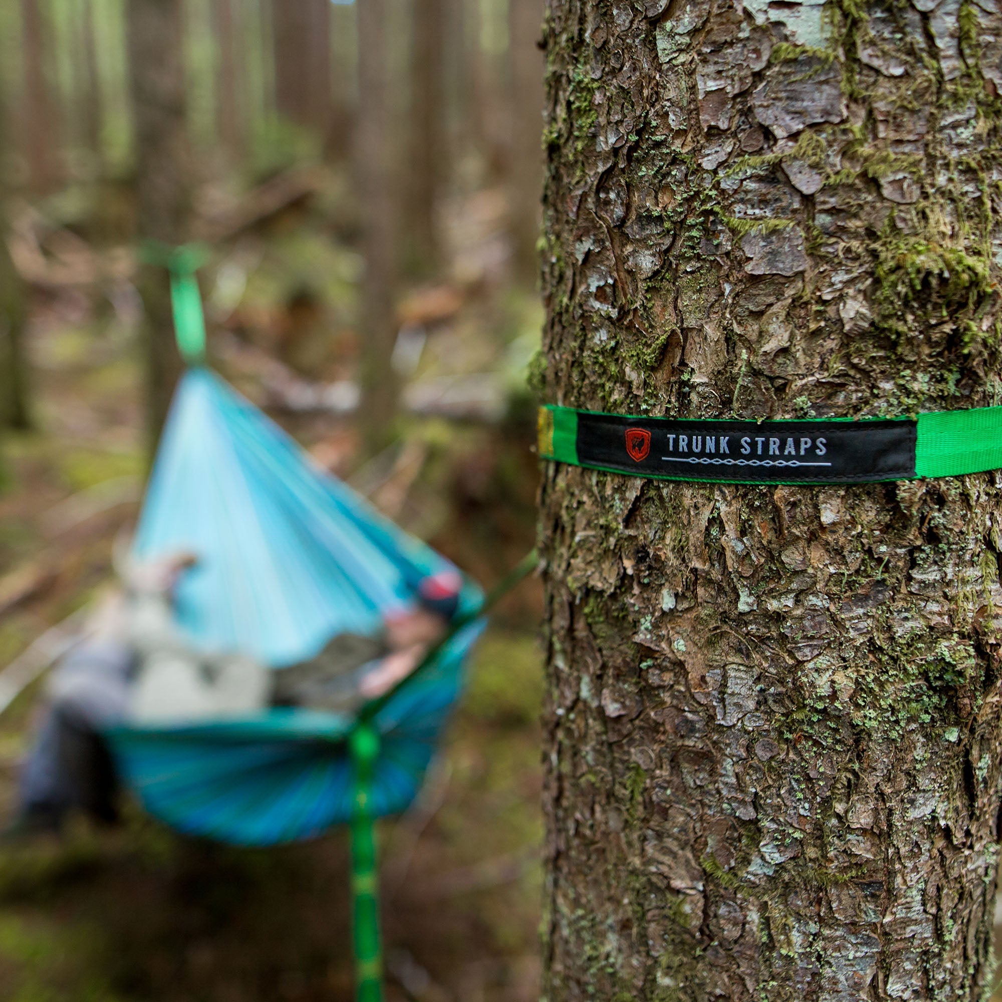 Trunk Straps - Hammock Suspension Straps - We The Collective