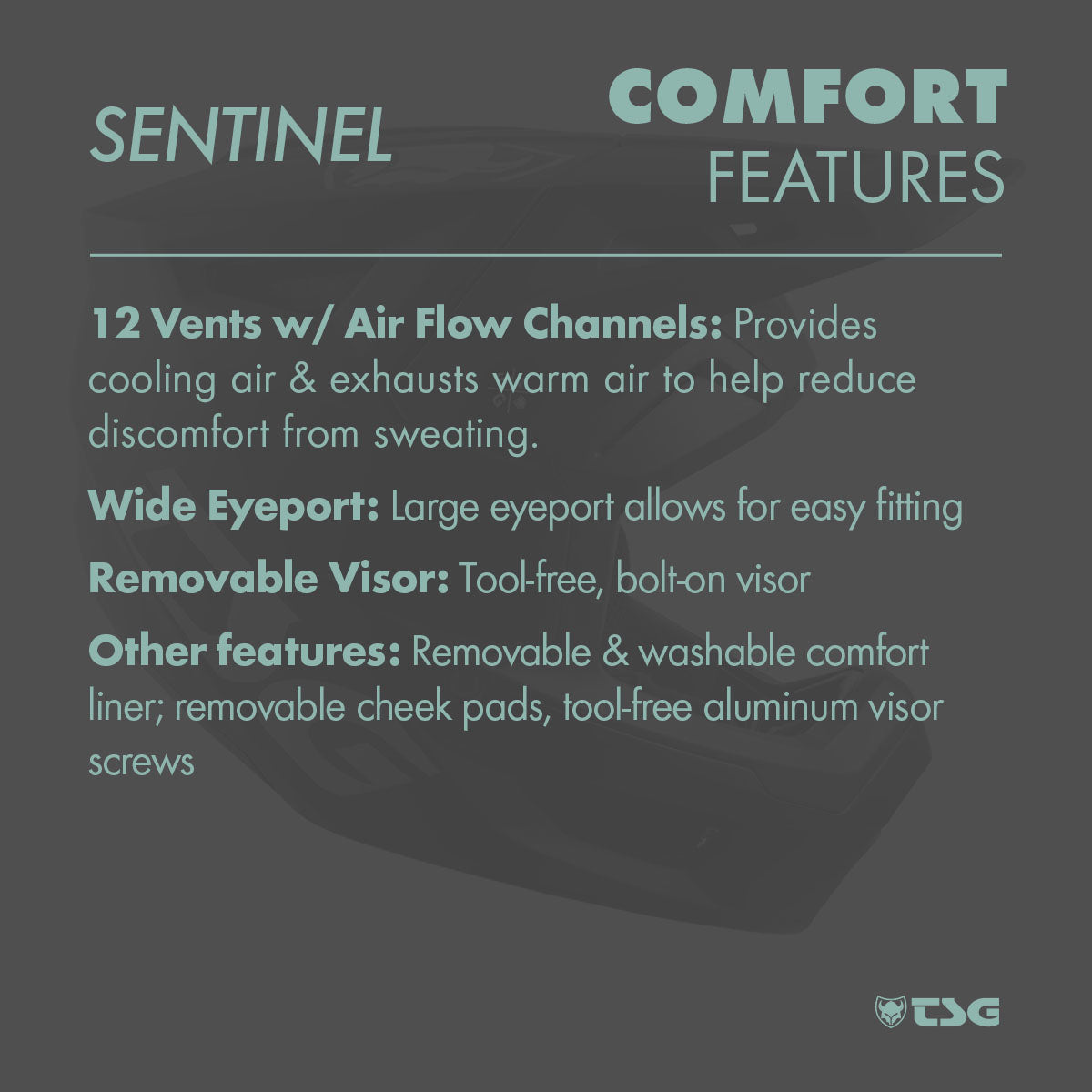 Full face downhill MTB helmet by TSG Sentinel, featuring a sleek design and full head coverage for mountain biking safety.