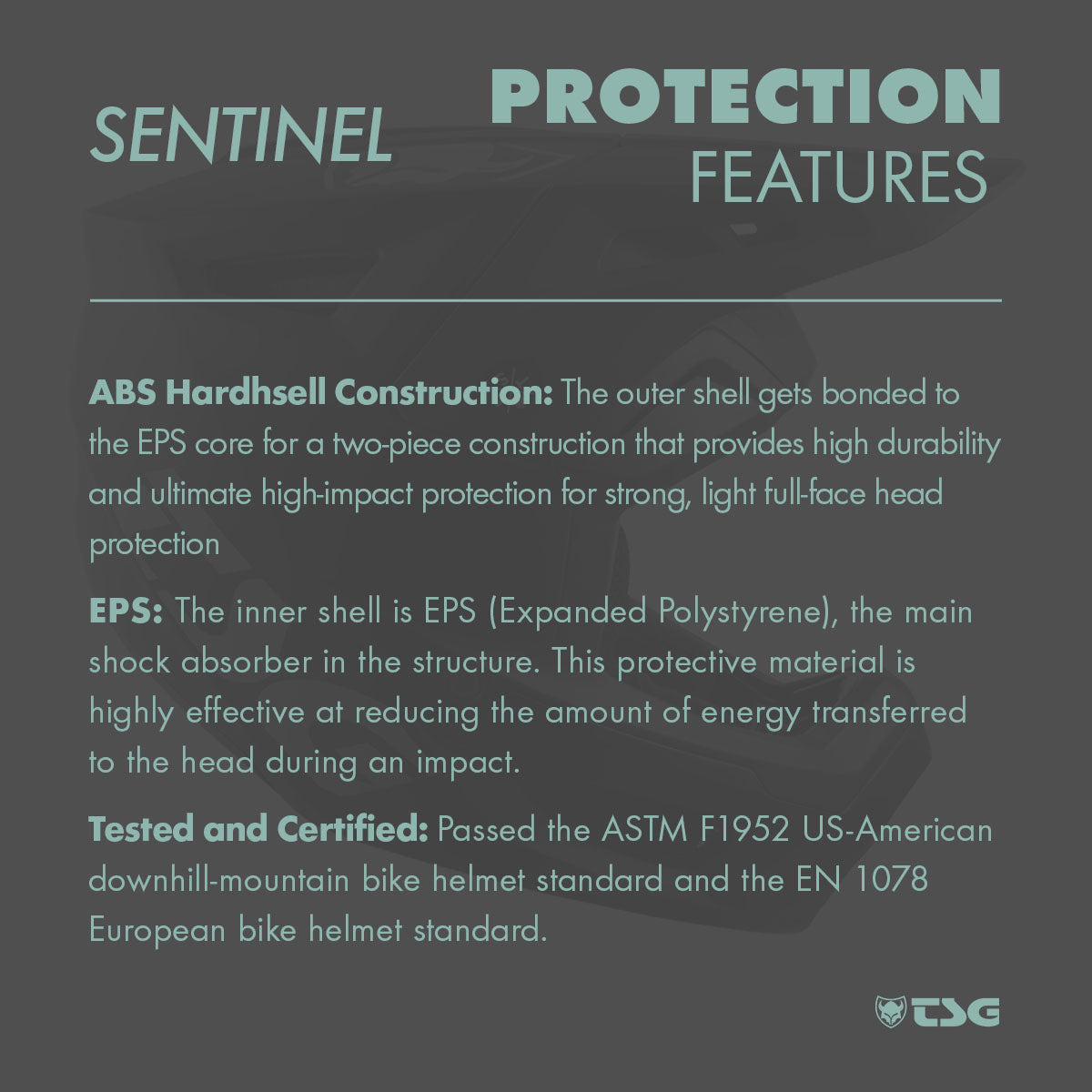 Full-face downhill MTB helmet by TSG Sentinel from ZEITBIKE, showcasing durable helmet design with ventilation and safety features.