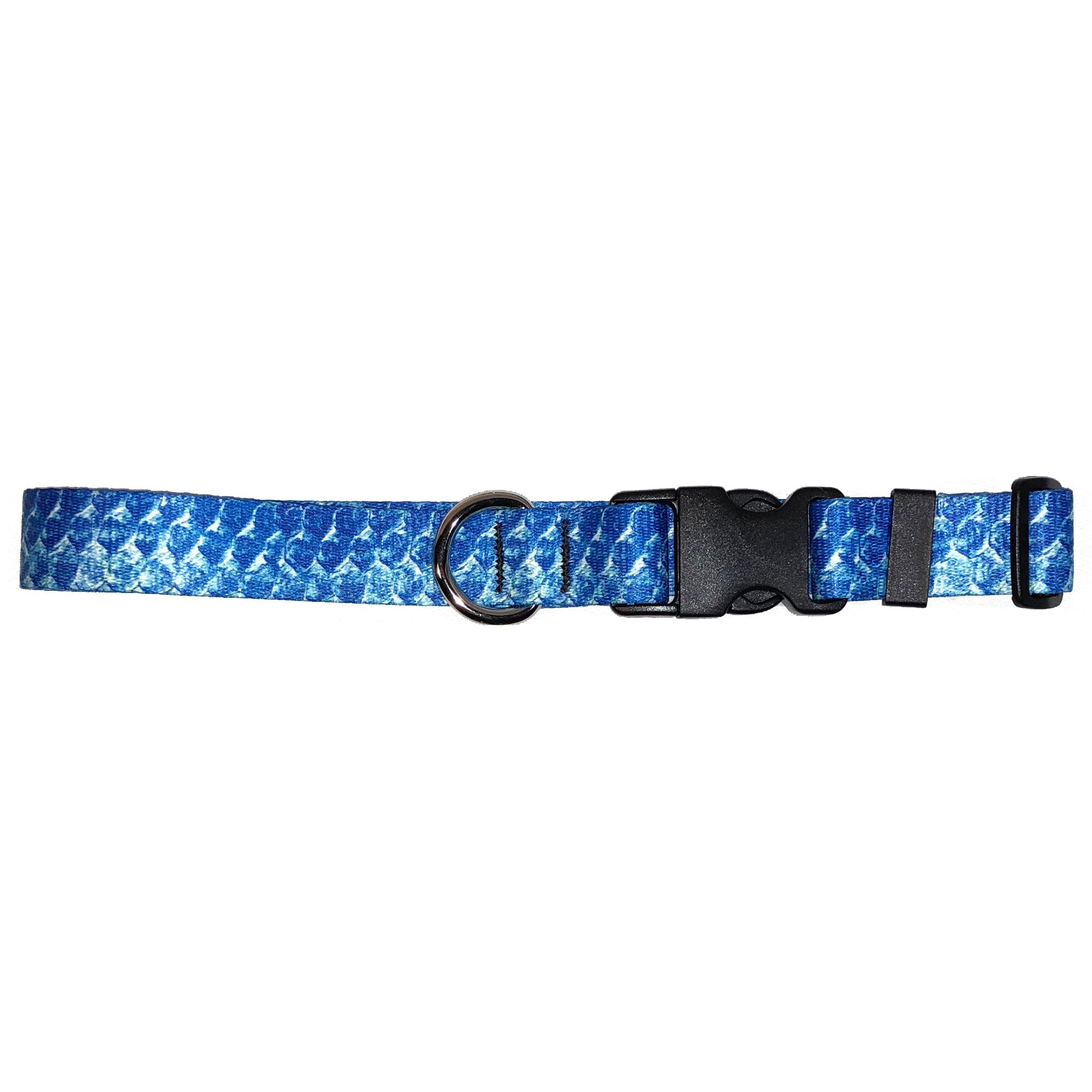 Tarpon dog collar from Cognito Brands, Inc., showing a durable fin flank accessory with adjustable strap and metal buckle.