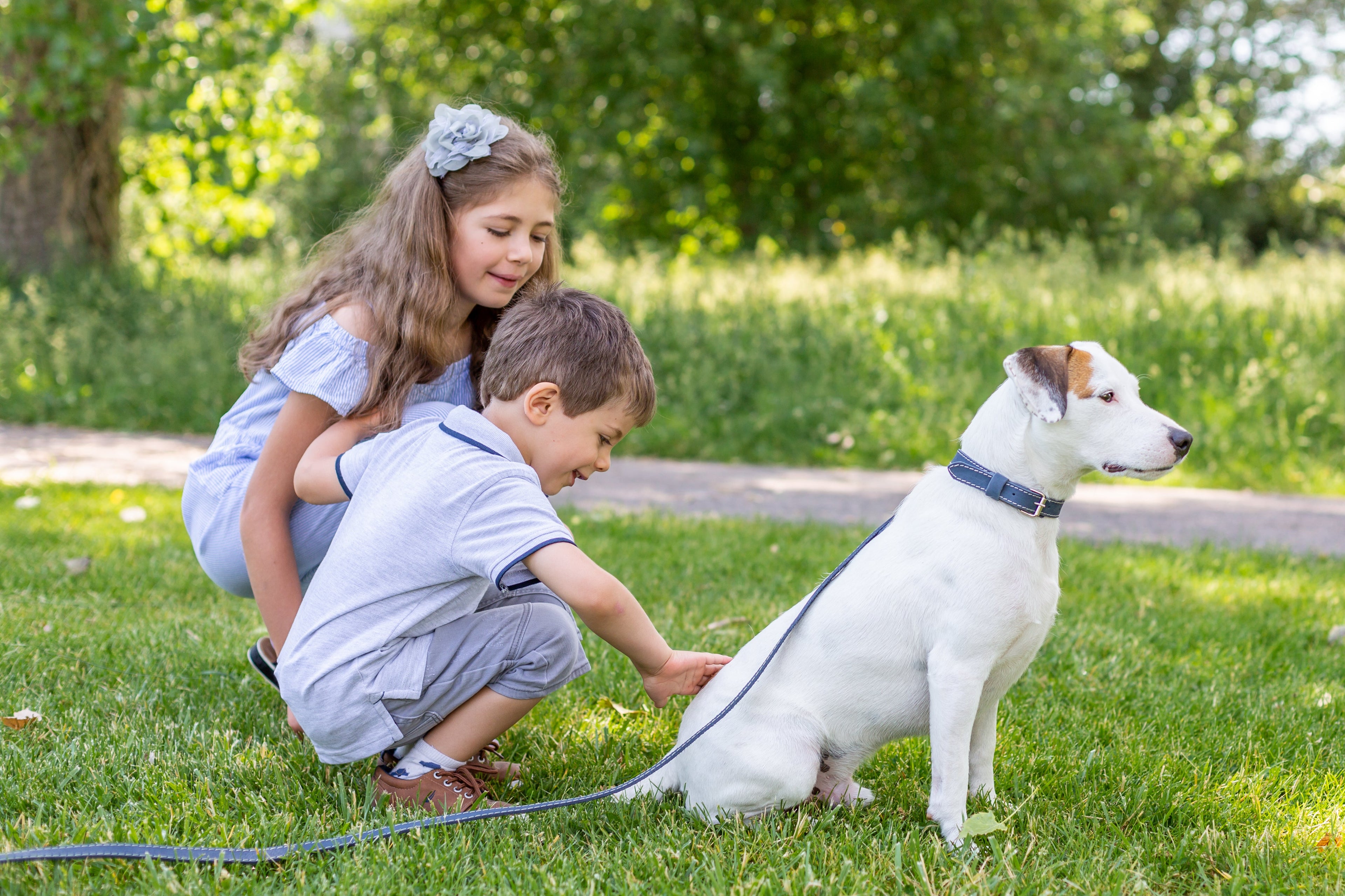 Trad navy leather dog collar and leash set by Euro-Dog Collars, crafted from high-quality leather for stylish, durable pet accessories.