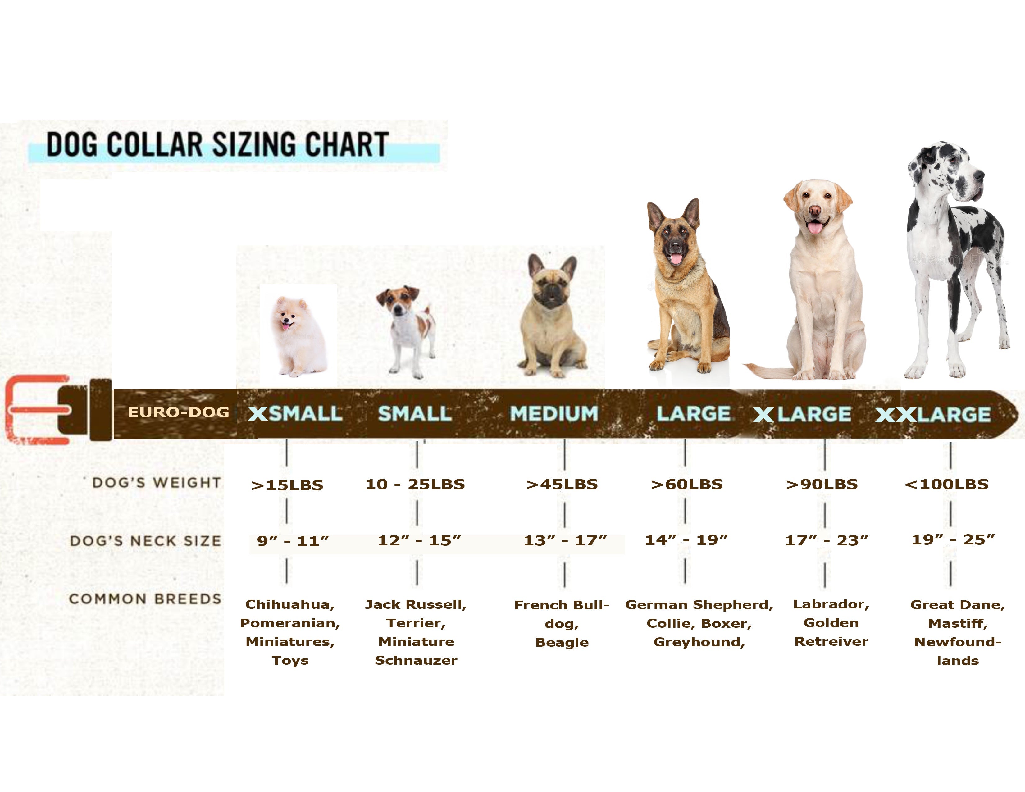 Size chart for Euro-Dog Collars and Leads' Pro Line hunting leather dog collar and leash set, showing various collar sizes and measurements.