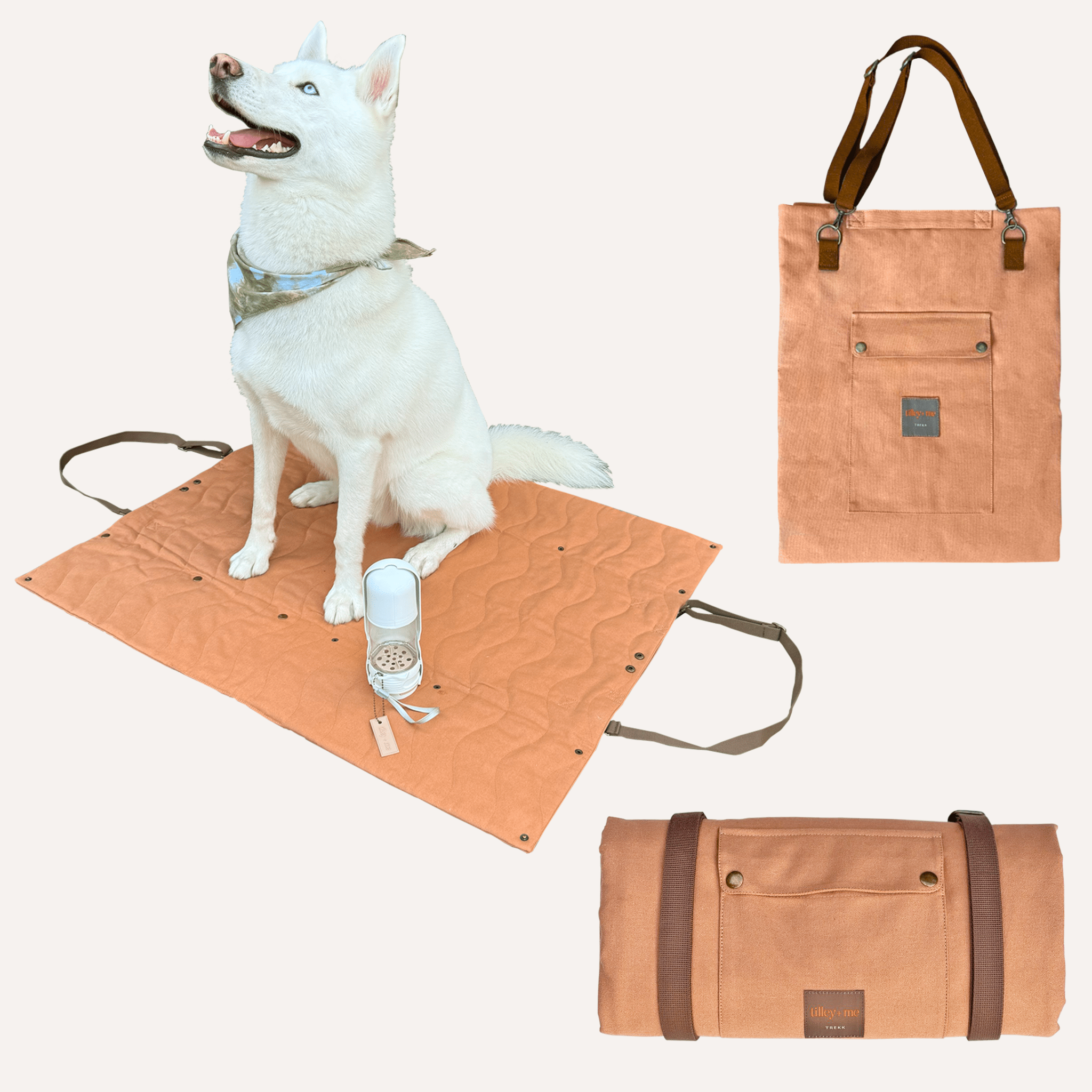 Trekk Convertible Travel Mat - Portable Canvas Bed for Dogs & Humans | Camping, Concerts, Picnics - OVERLANDERS Outfitter