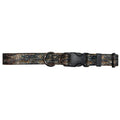 Cognito Brands Trout Dreams dog collar featuring a colorful trout pattern on durable webbing for medium-sized dogs.
