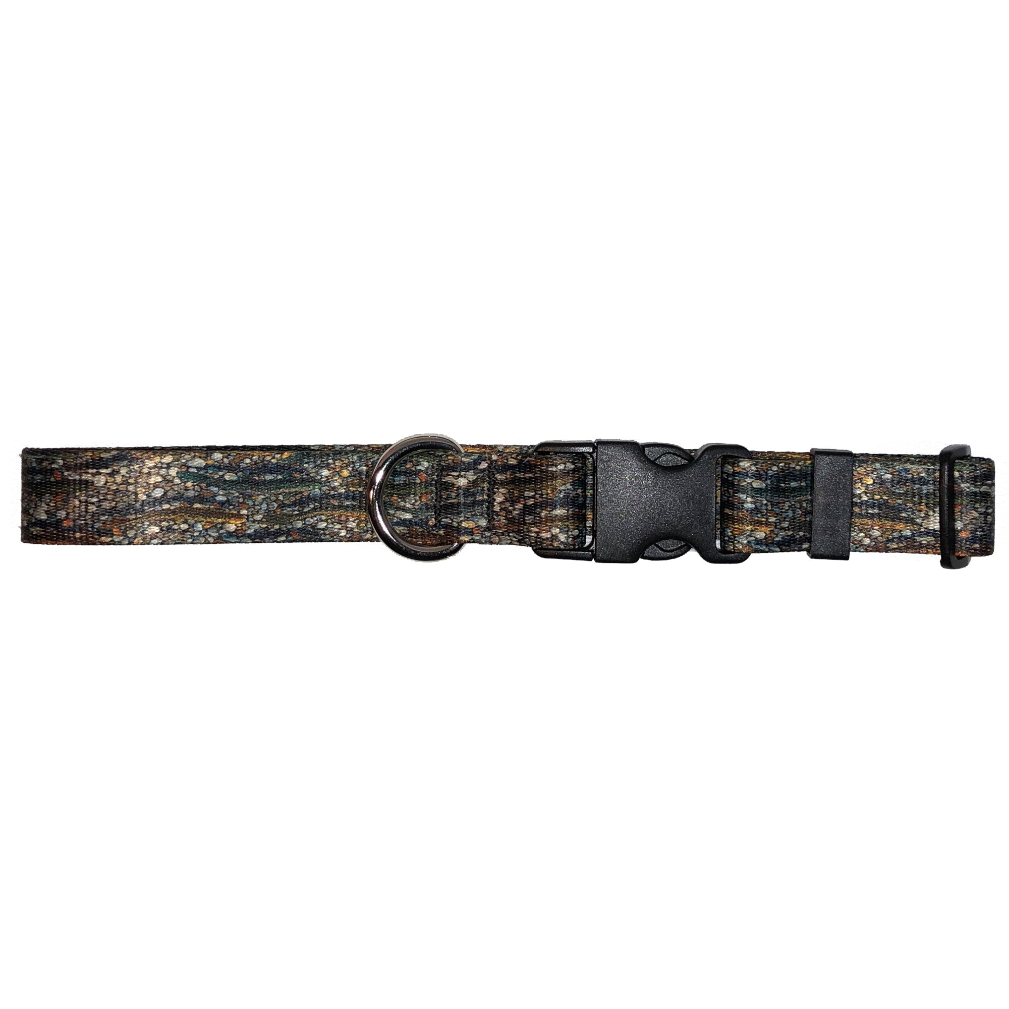 Cognito Brands Trout Dreams dog collar featuring a colorful trout pattern on durable webbing for medium-sized dogs.