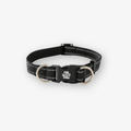 The Wild Paw Surge Collar featuring a sturdy, adjustable collar design with a stylish pattern for pets.