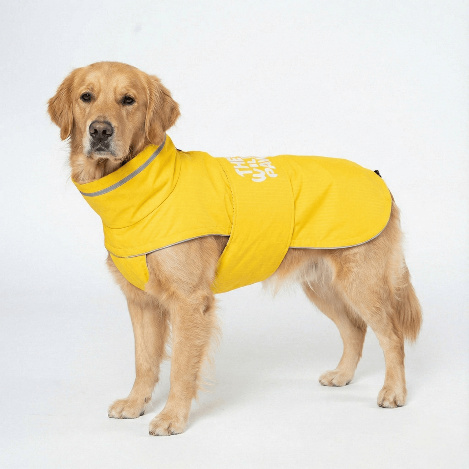 WildGuard Rain Coat - OVERLANDERS Outfitter