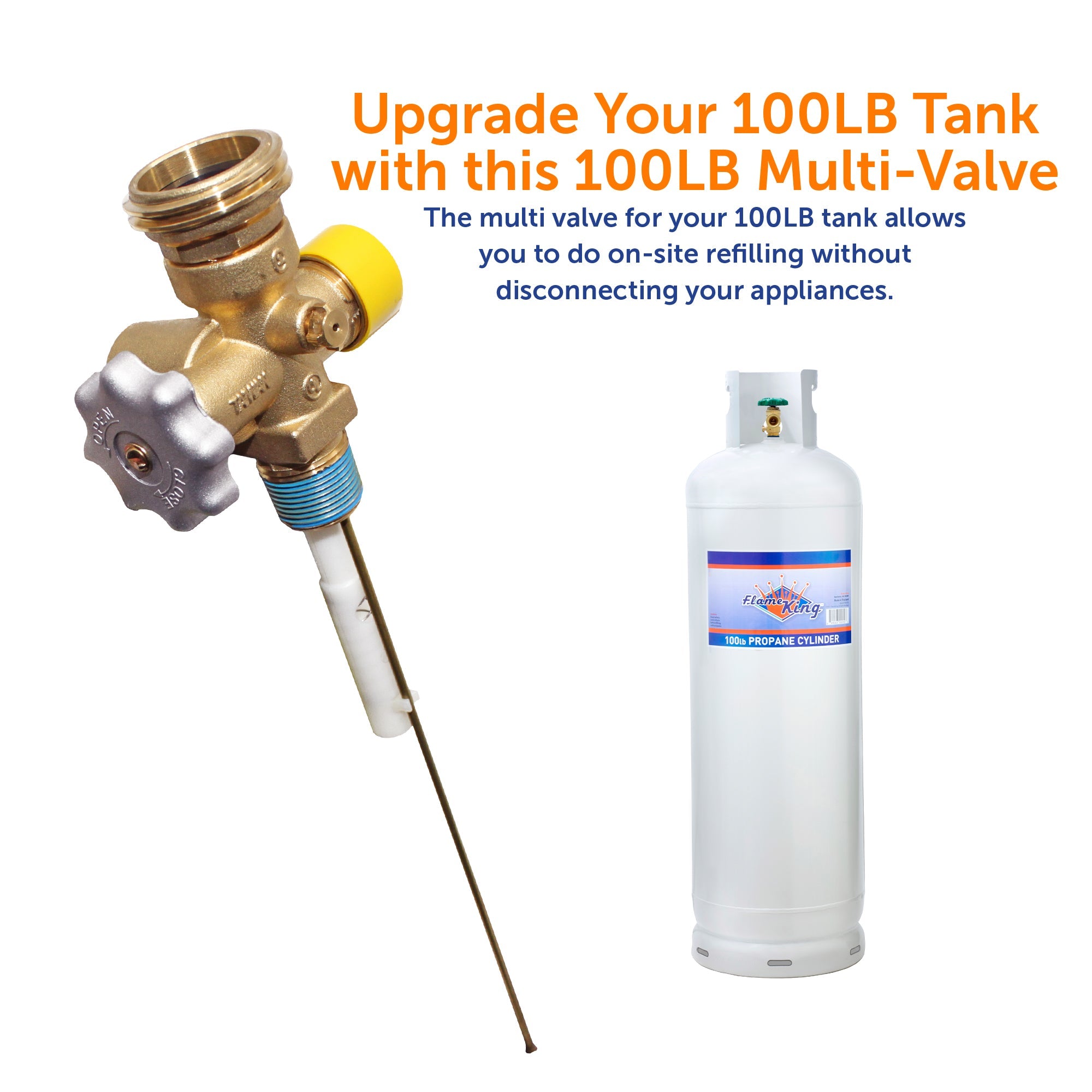Flame King Multi Valve for 100lb Propane Cylinder - We The Collective