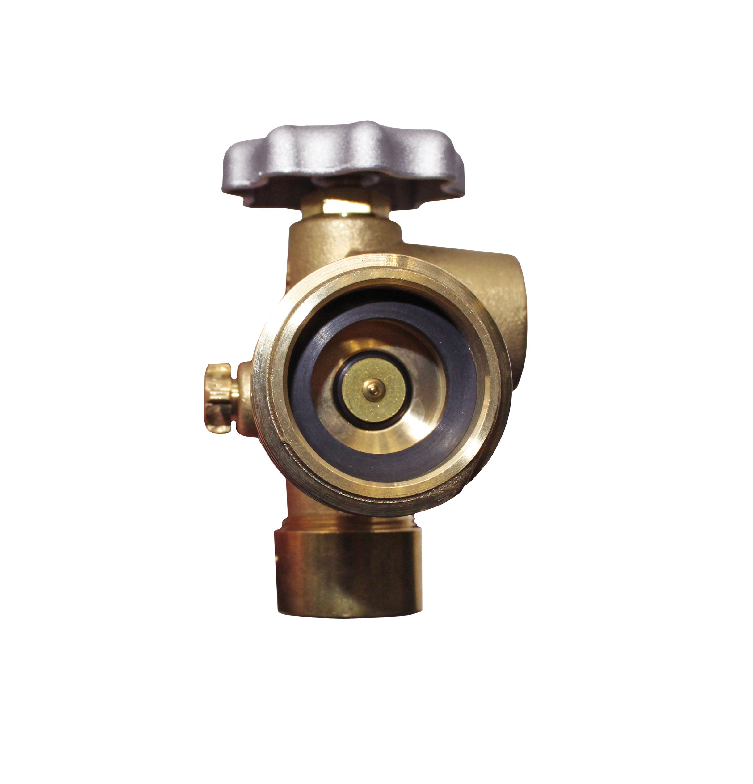 Flame King Multi Valve for 100lb Propane Cylinder - We The Collective