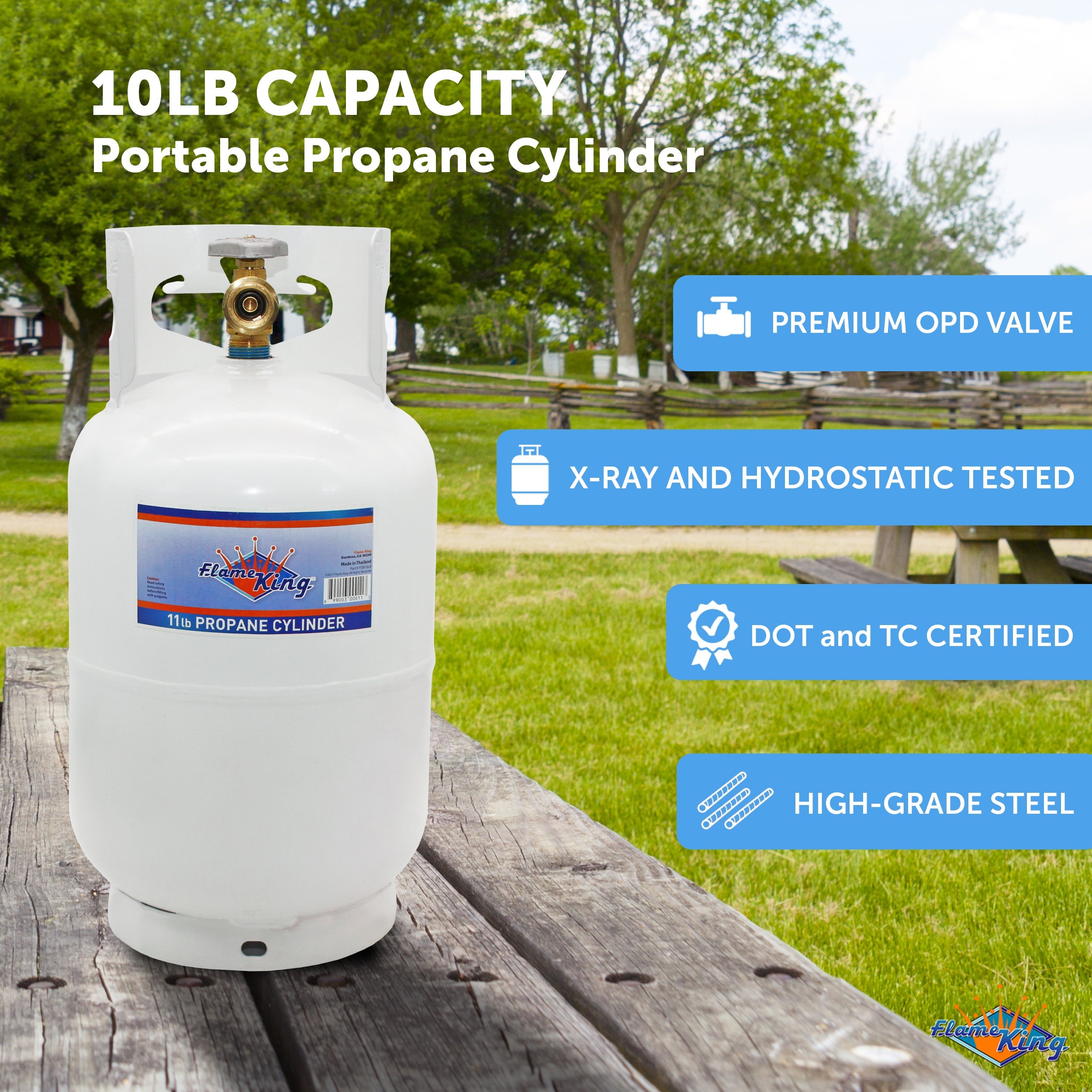 Flame King 10lb Propane Tank LP Cylinder with OPD