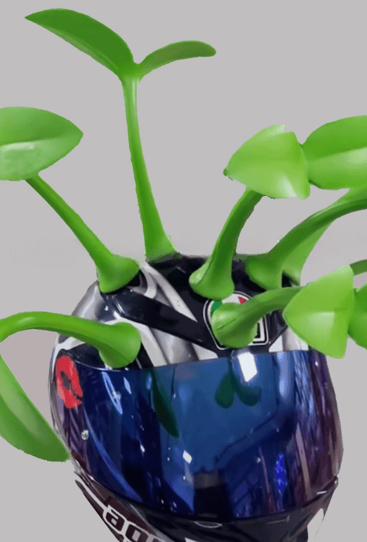Decorative motorcycle helmet sprout decor by Bean's Moto Booth, featuring a colorful, playful design suitable for motorcycle enthusiasts.