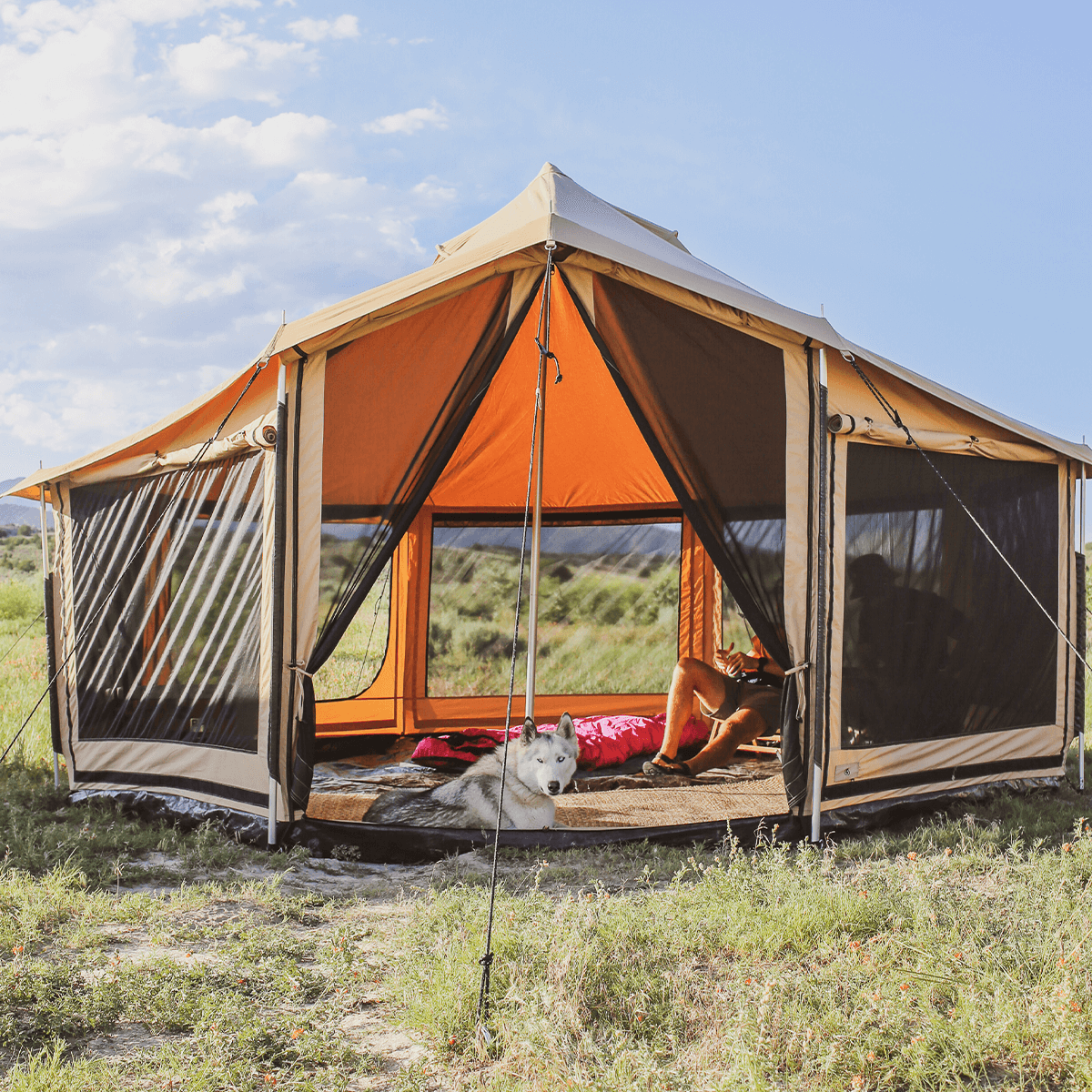 White Duck Outdoors Altimus Bell Tent set up outdoors with a dog, showcasing the spacious, durable design of the camping tent.