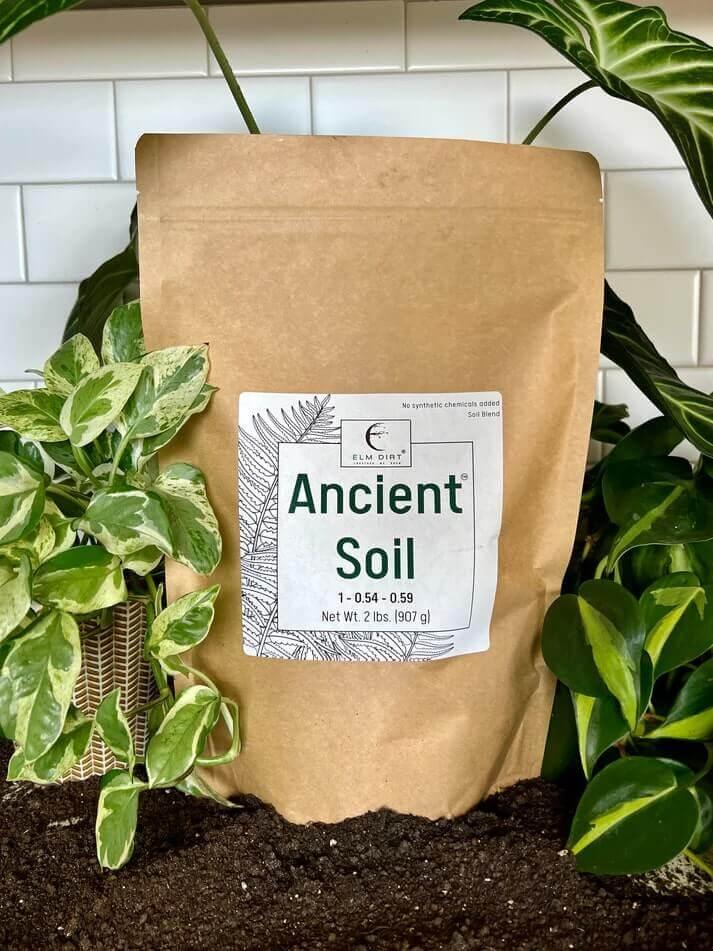 Ancient Soil Organic Living Soil - OVERLANDERS Outfitter