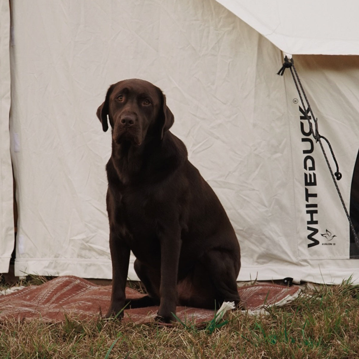 Avalon Bell Tent - OVERLANDERS Outfitter