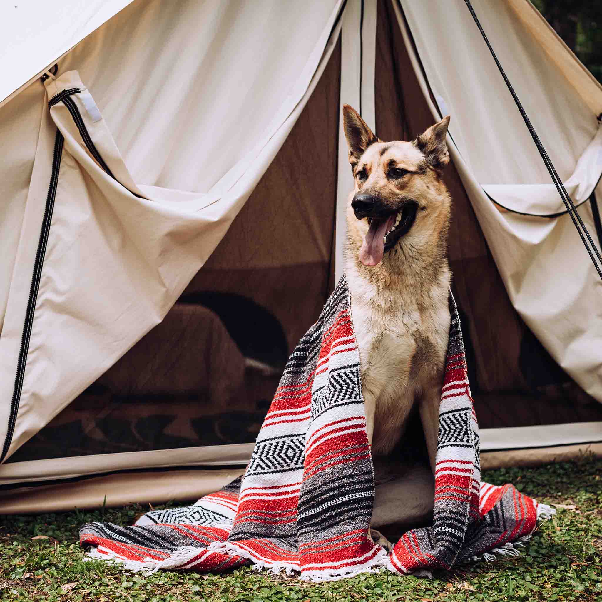 Avalon Bell Tent - OVERLANDERS Outfitter
