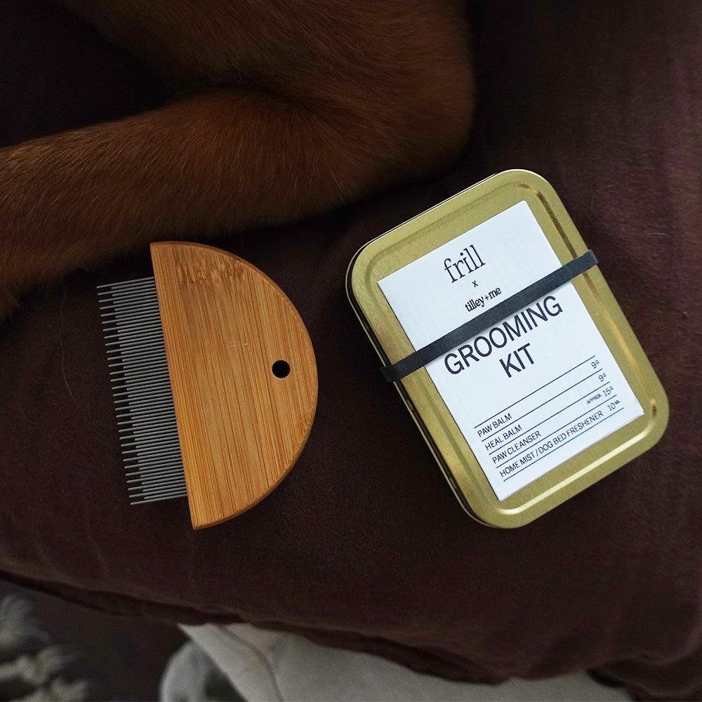 Tilley + Me Bamboo Flea Detangler – Set of 2 | Gentle & Eco-Friendly for Dogs & Cats - OVERLANDERS Outfitter