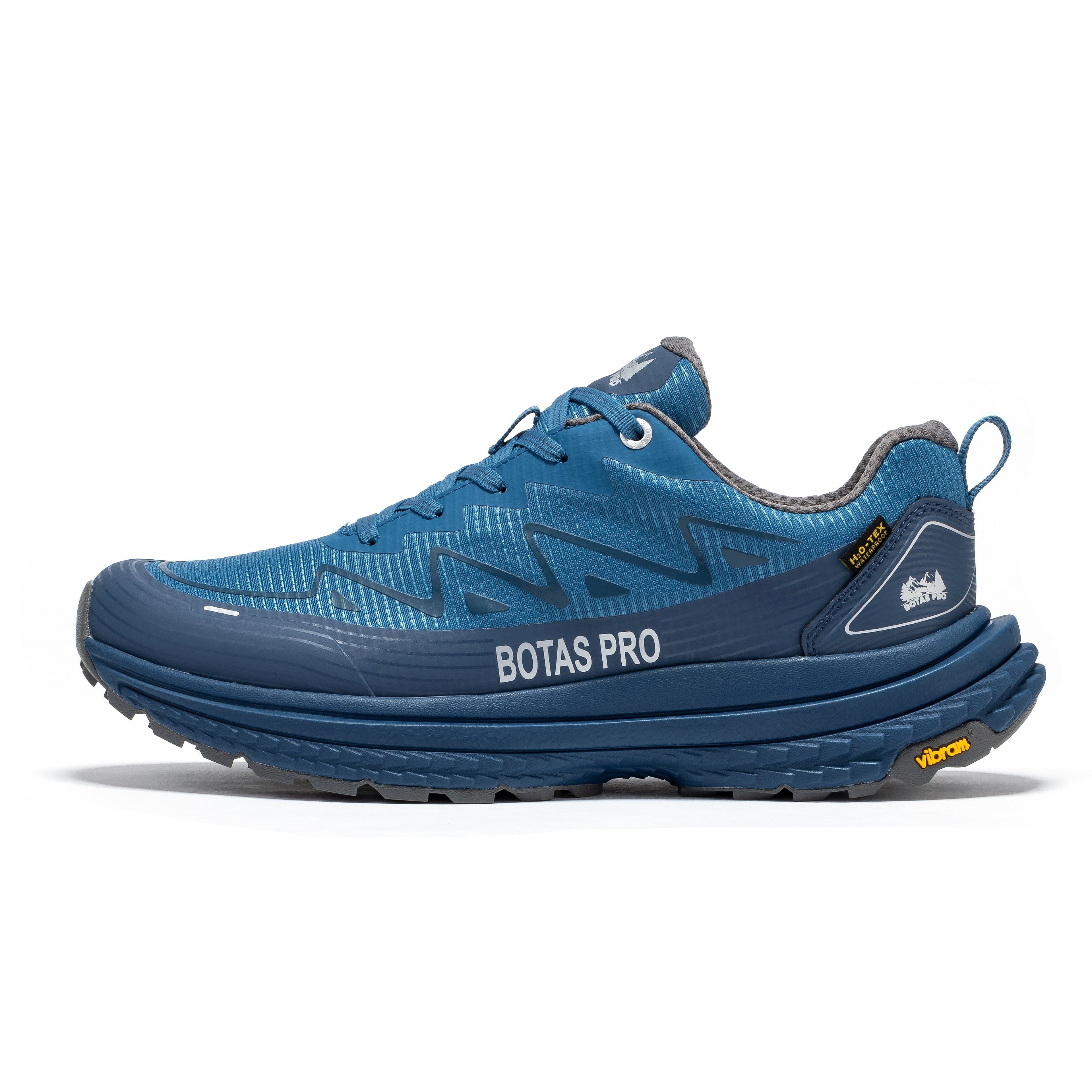 Blue Rock Rooster Pro 4-inch waterproof hiking shoes with rugged outdoor design and durable soles.