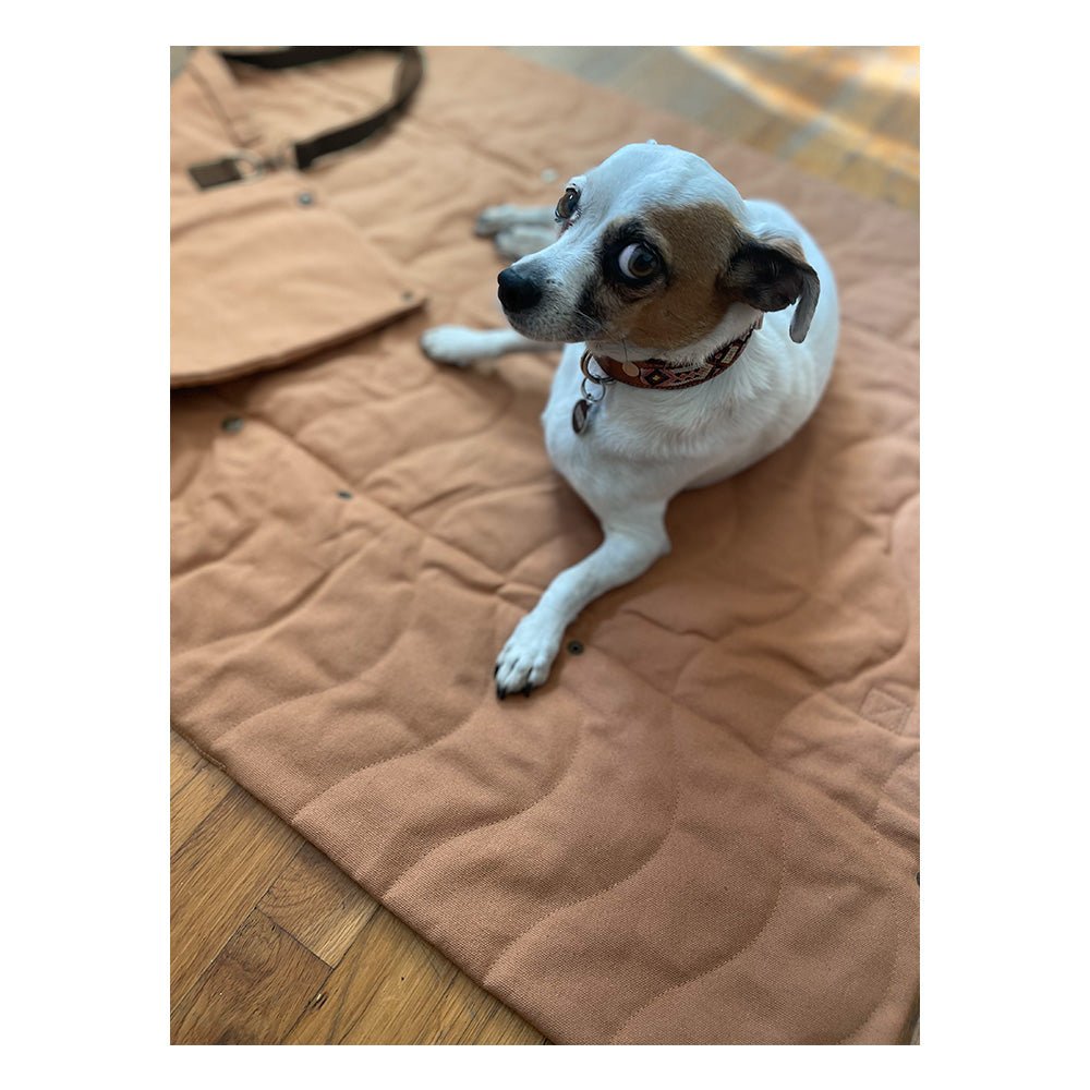 Trekk Convertible Travel Mat - Portable Canvas Bed for Dogs & Humans | Camping, Concerts, Picnics - OVERLANDERS Outfitter
