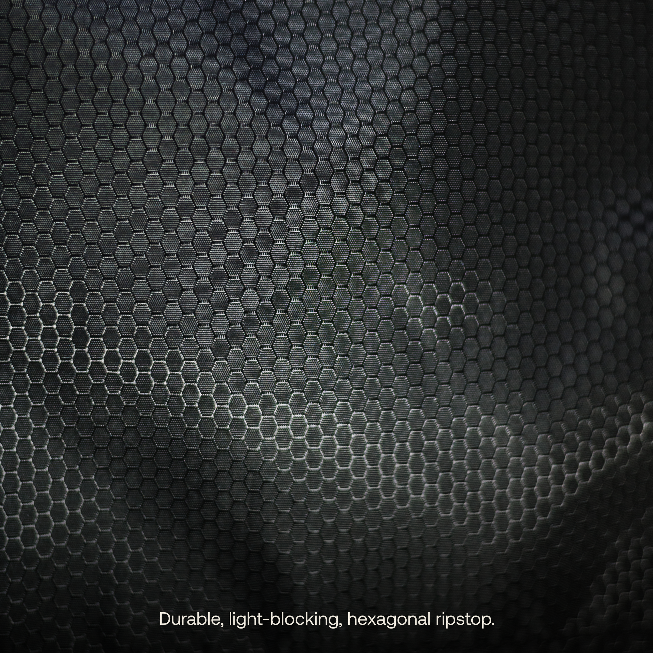 Car Privacy Curtain - We The Collective