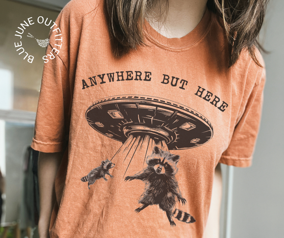 Comfort Colors UFO raccoon T-shirt from Blue June Outfitters featuring a humorous raccoon graphic on a casual tee.