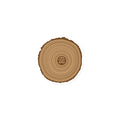 Origin Tree Ring Magnet - OVERLANDERS Outfitter
