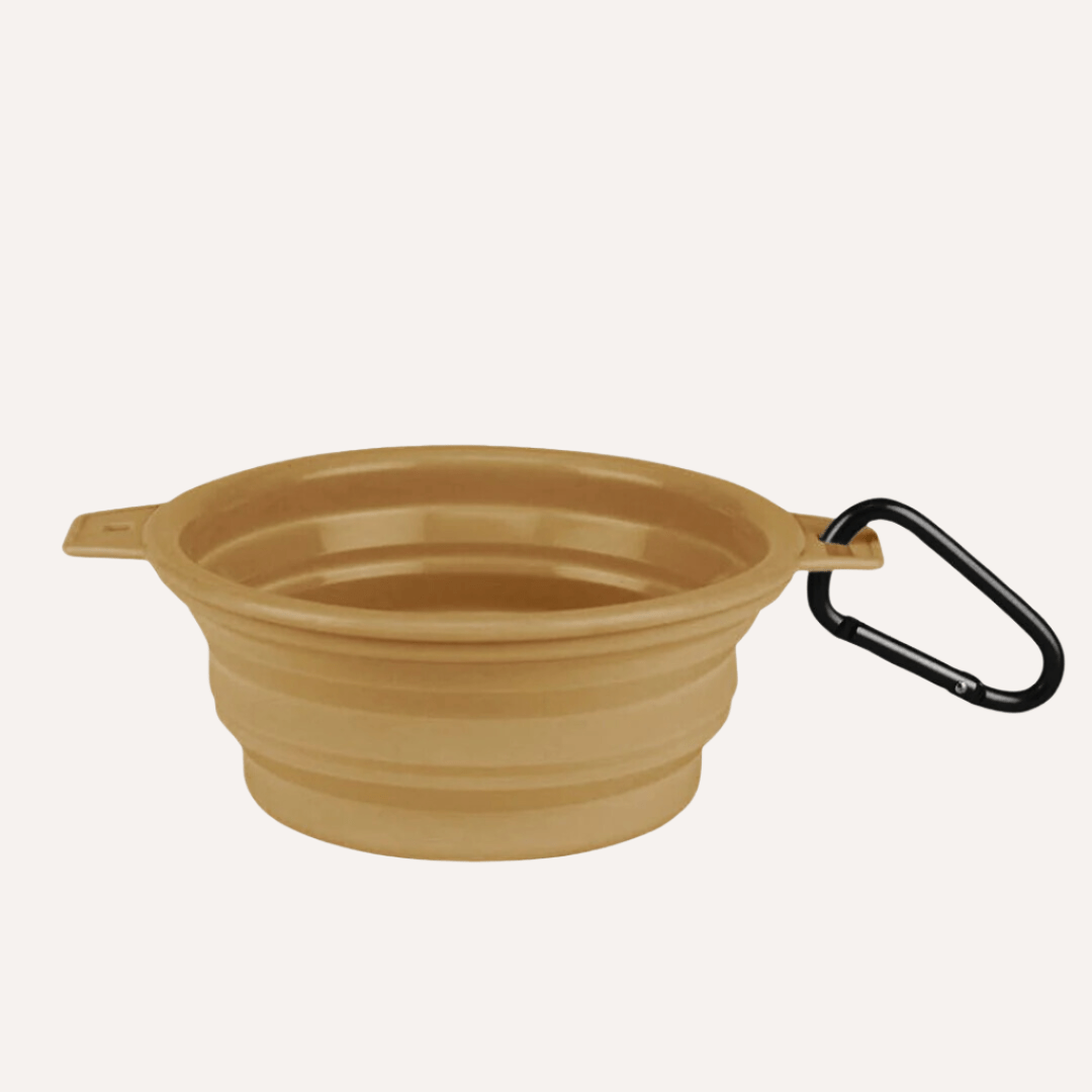 Tilley + Me collapsible travel pet bowl for dogs, reusable and easy to clean, with clip for convenient portability.