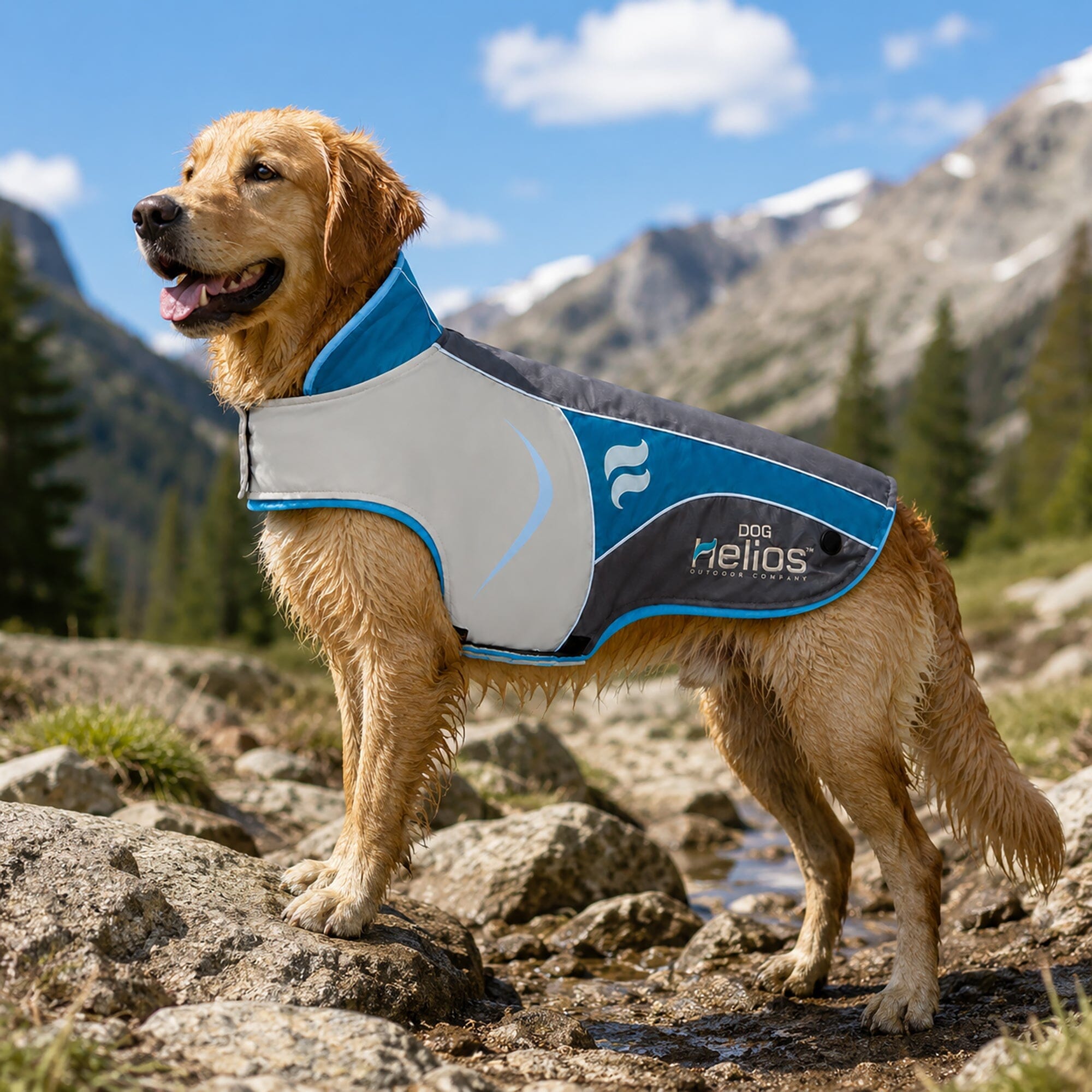 Dog Helios ® Lotus-Rusher 2-in-1 Dual-Removable Layered Performance Dog Jacket - OVERLANDERS Outfitter