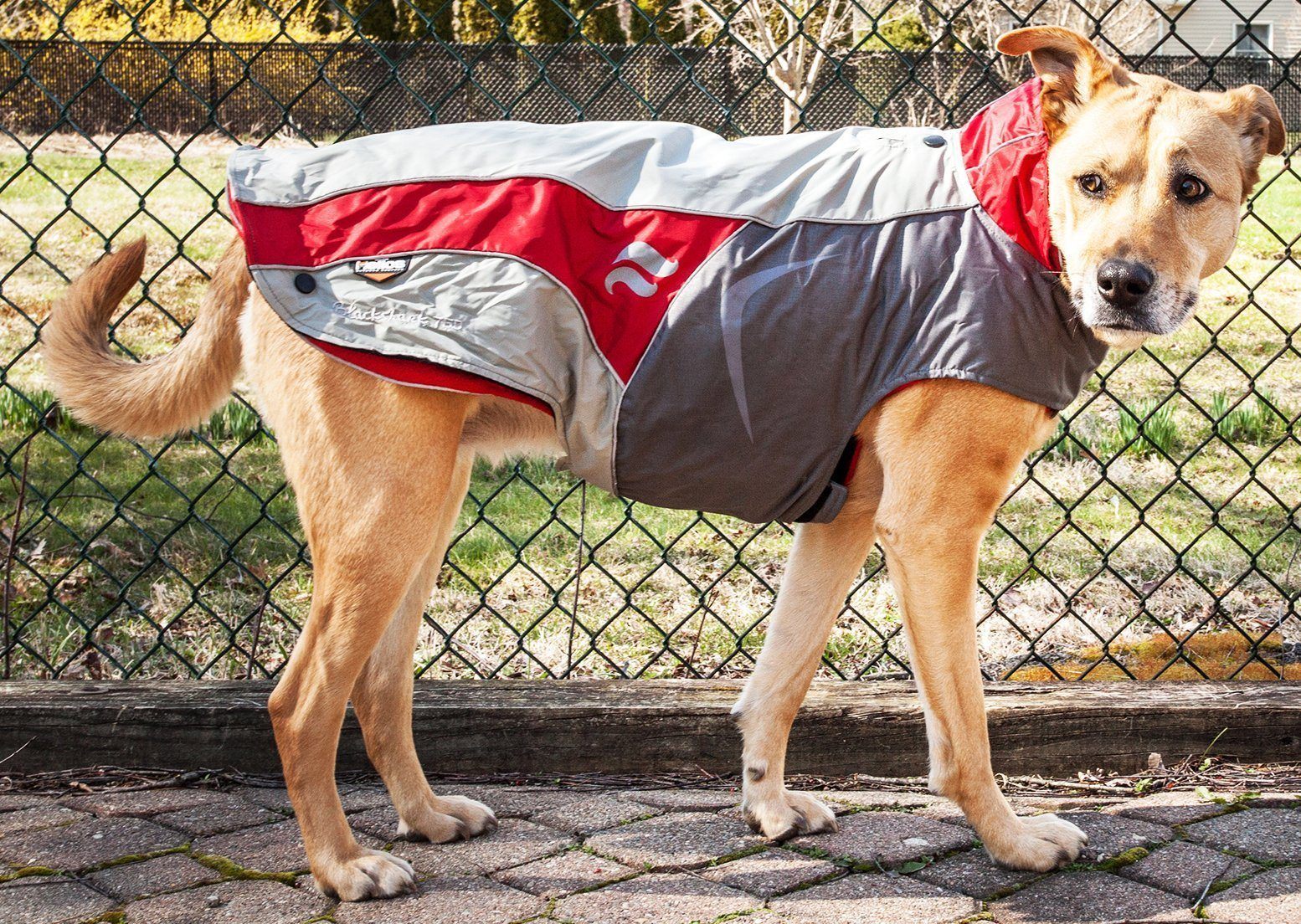 Pet Life Dog Helios Lotus-Rusher 2-in-1 waterproof convertible dog jacket with layered design and blackshark technology.