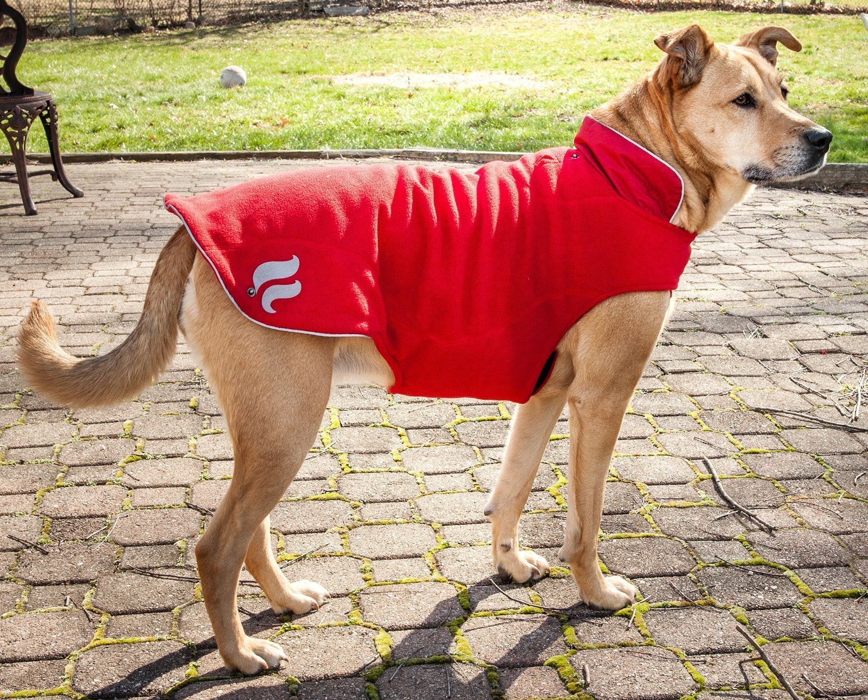 Pet Life Dog Helios Lotus-Rusher 2-in-1 waterproof convertible dog jacket with layered design and blackshark technology.