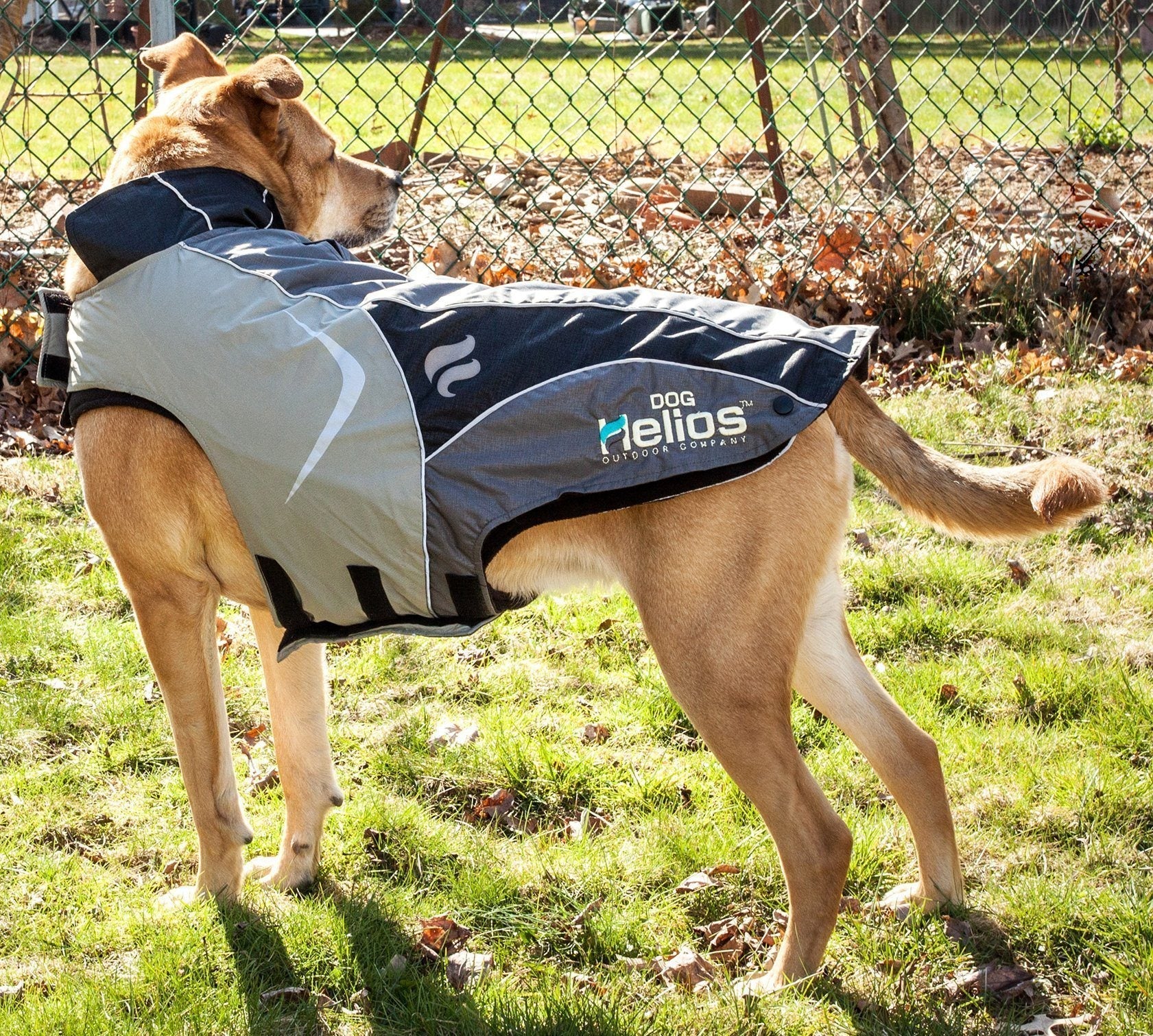 Pet Life Dog Helios Lotus-Rusher 2-in-1 waterproof, layered performance dog jacket with black shark technology, convertible design.